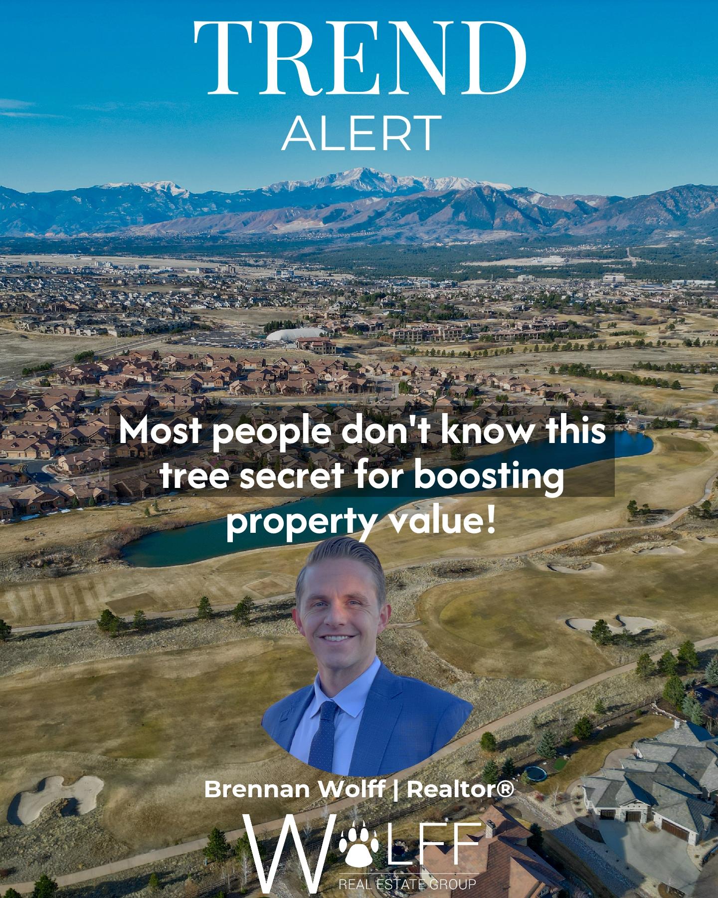 wolffrealestategroup