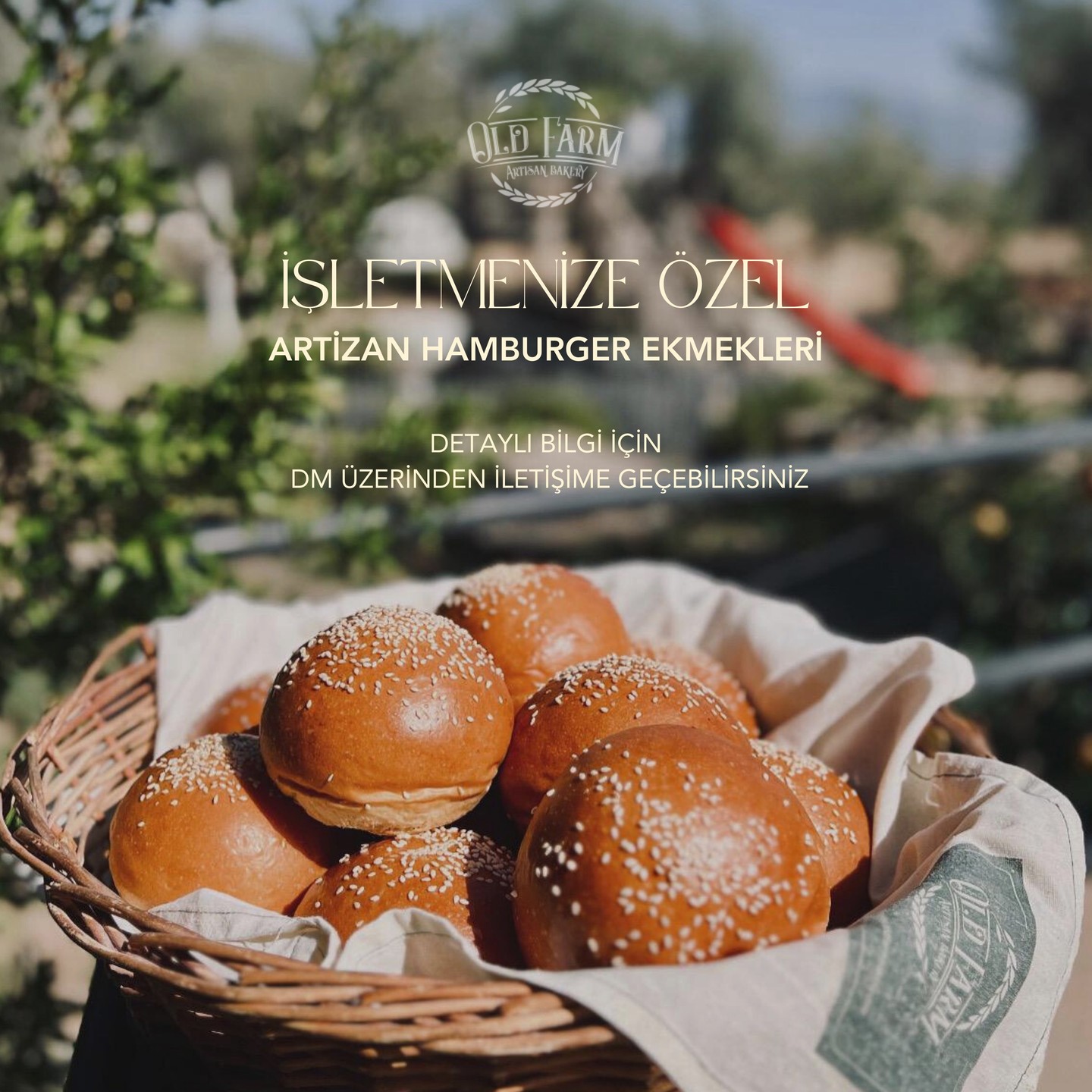 Old Farm Bakery olarak, işletmeler için özel olarak hazırladığımız hamburger ekmeklerimizle tanışın!
🍔
🍞 Özel siparişleriniz için bizimle iletişime geçin, işletmenize lezzet katmaya başlayalım!
📞 Detaylı bilgi ve sipariş için DM'den ulaşabilirsiniz.