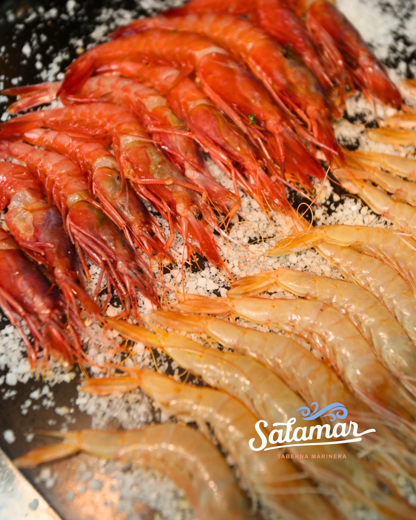 No te puedes perder nuestra Gamba Roja de Garrucha y Blanca del Mediterraneo! 🤤🤤🦐🦐
📍Calle Cartagena 103, Madrid
.
#gambaroja #gambarojadegarrucha #gambablanca #gambas #shrimps #prawns #madridgastro