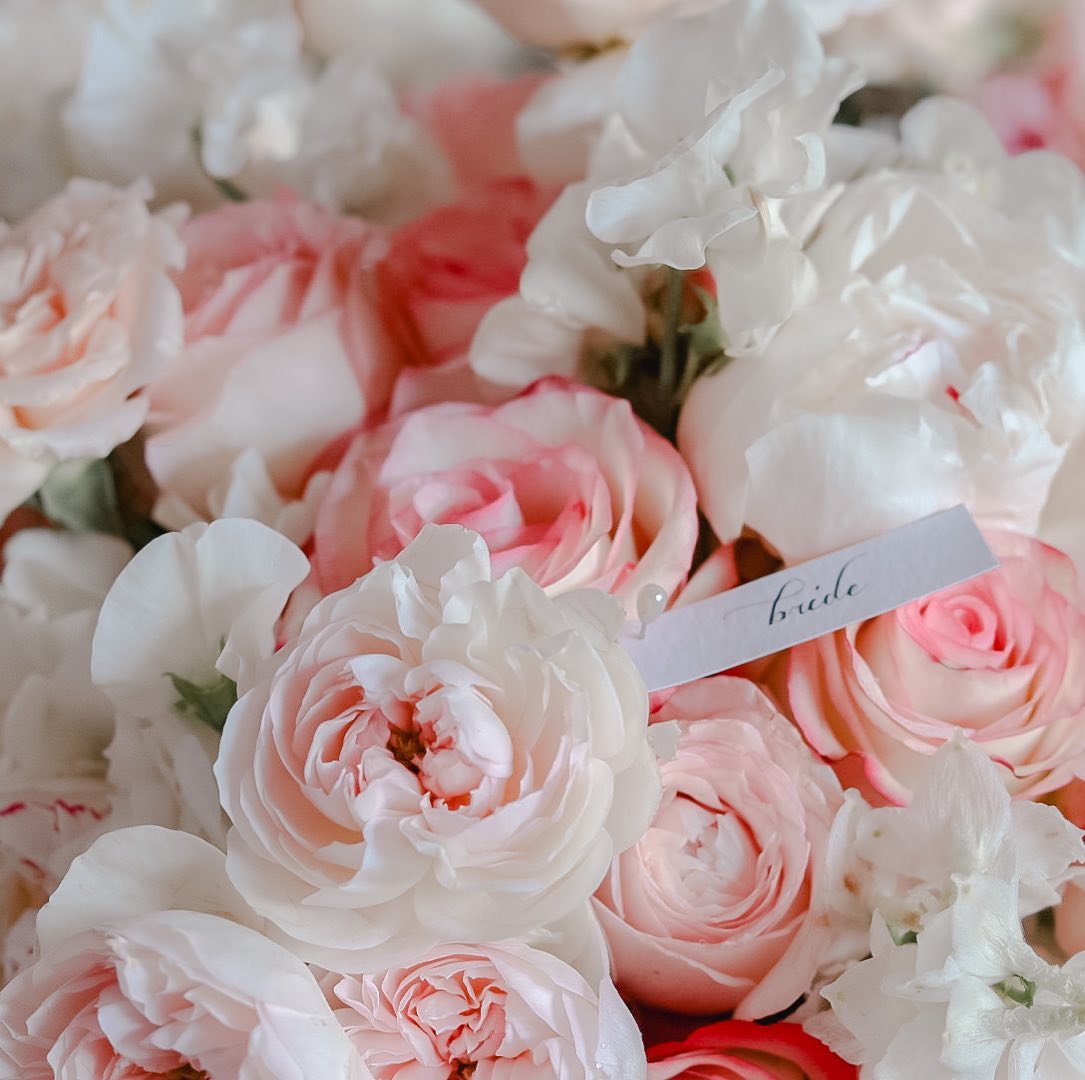 Rose looking perfect 💫