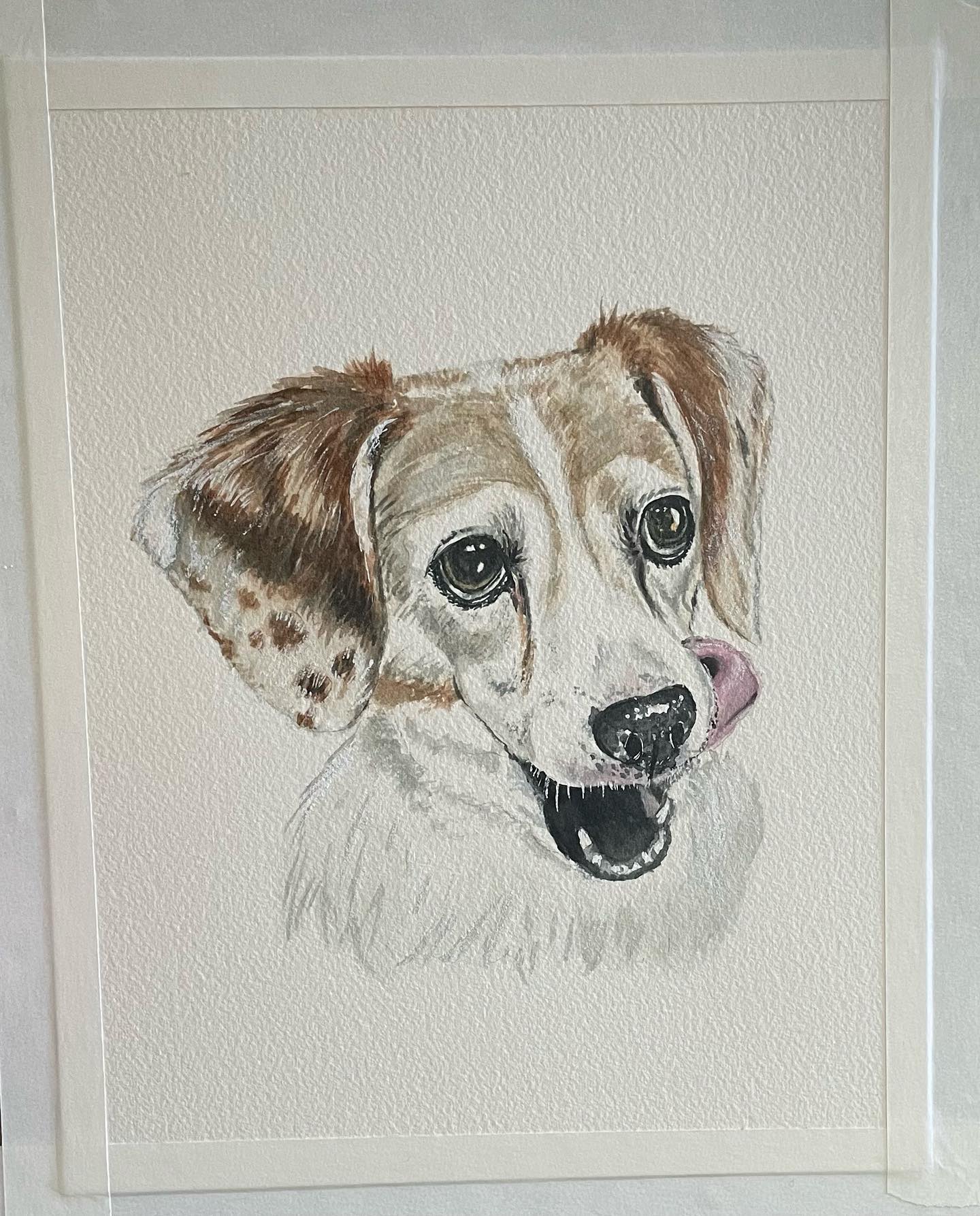 Tuesday? Nah this tongue is out every day 😂
#tonguesouttuesday #saturdaze #sweetbabe #watercolor #watercolorpetportrait #petportrait #watercolorpainting #dog #dogsofinstagram