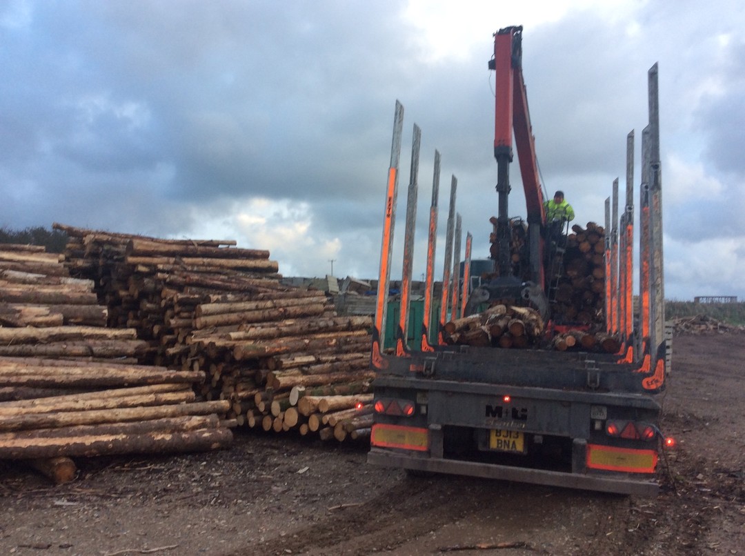 🌲🌳🌴♻️♻️♻️
We source sustainably harvested timber that is as local to us as possible to reduce our carbon footprint.
Some of our hardwood is sourced from roadside and trainline clearances, which would have been waste wood.
#sustainable #logs #wood #firewood #harvesting #timber