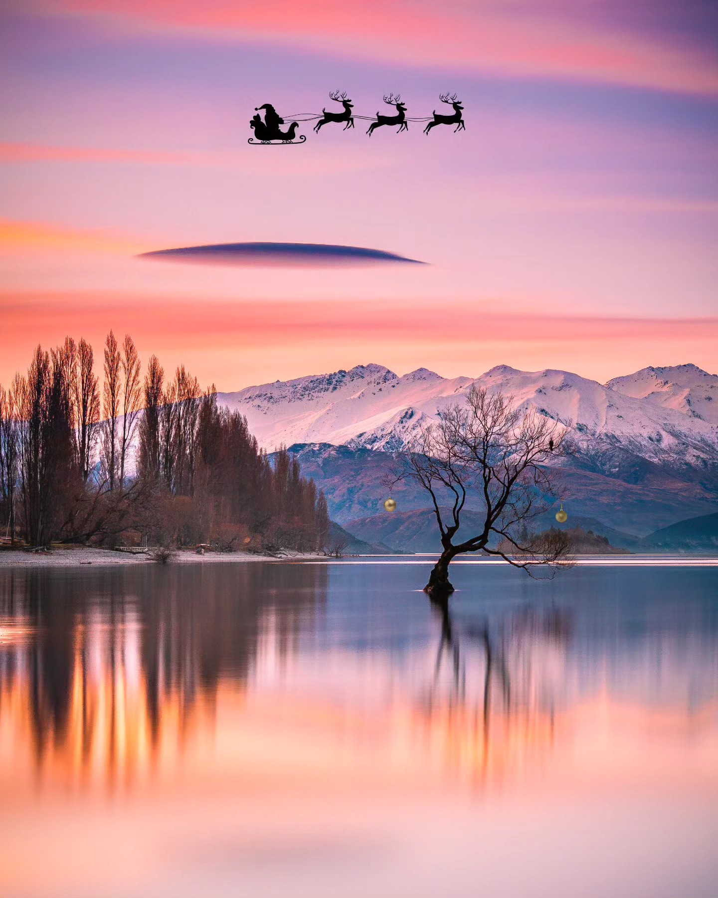 Merry Christmas 🎄
Thank you for your support throughout the year 🙏🏼
#Christmas #NewZealand #thatwanakatree