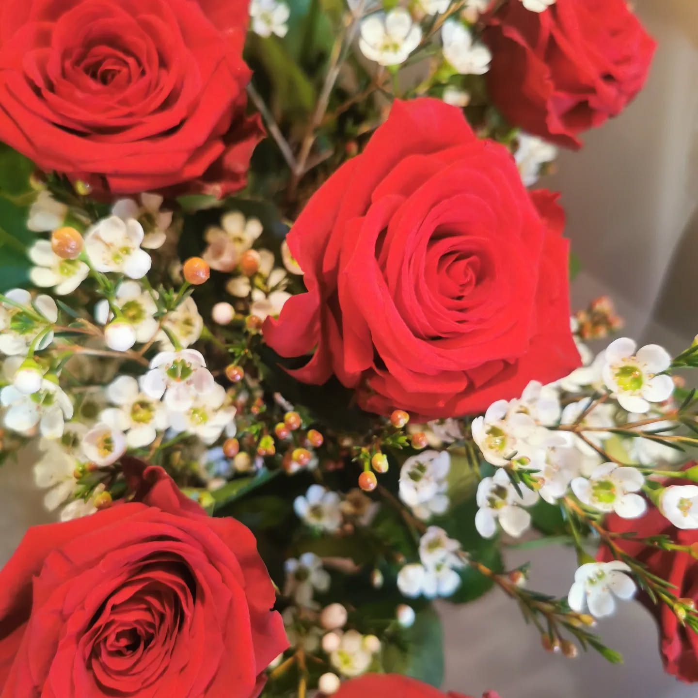 Why not add some filler? I mean in your bouquet.. Not you lips ❣️
Using a filler such as wax flower, gypsophila, limonium or fountain grass can really set off your roses and can double the size of your bouquet!
Pure love is availavle to buy on my website, to add filler and foliage simply add it to your order before you checkout.
#waxflower #redroses #redrosebouquet #newmaldenflowers #newmaldenbusiness #newmaldenshopping #kingstonflowerdeliveries #kingstonsmallbusiness #notonthehighstreetseller #afloralaffair #luxuryroses