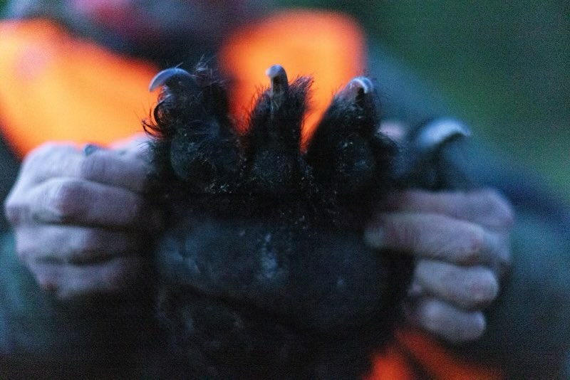 Bear season is over…How was your Hunt???