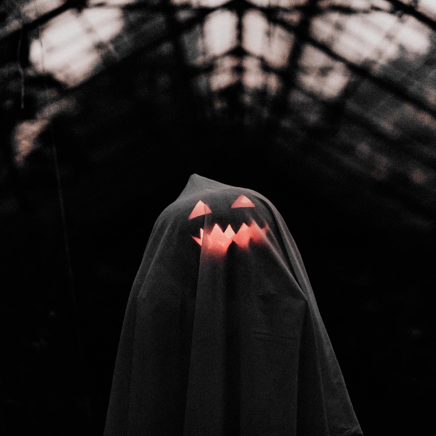 Trick or treat?
Happy Halloween! 🎃 👻
Photo by @kaboompics
#instapr #smm #instagramireland #socialmediamarketing