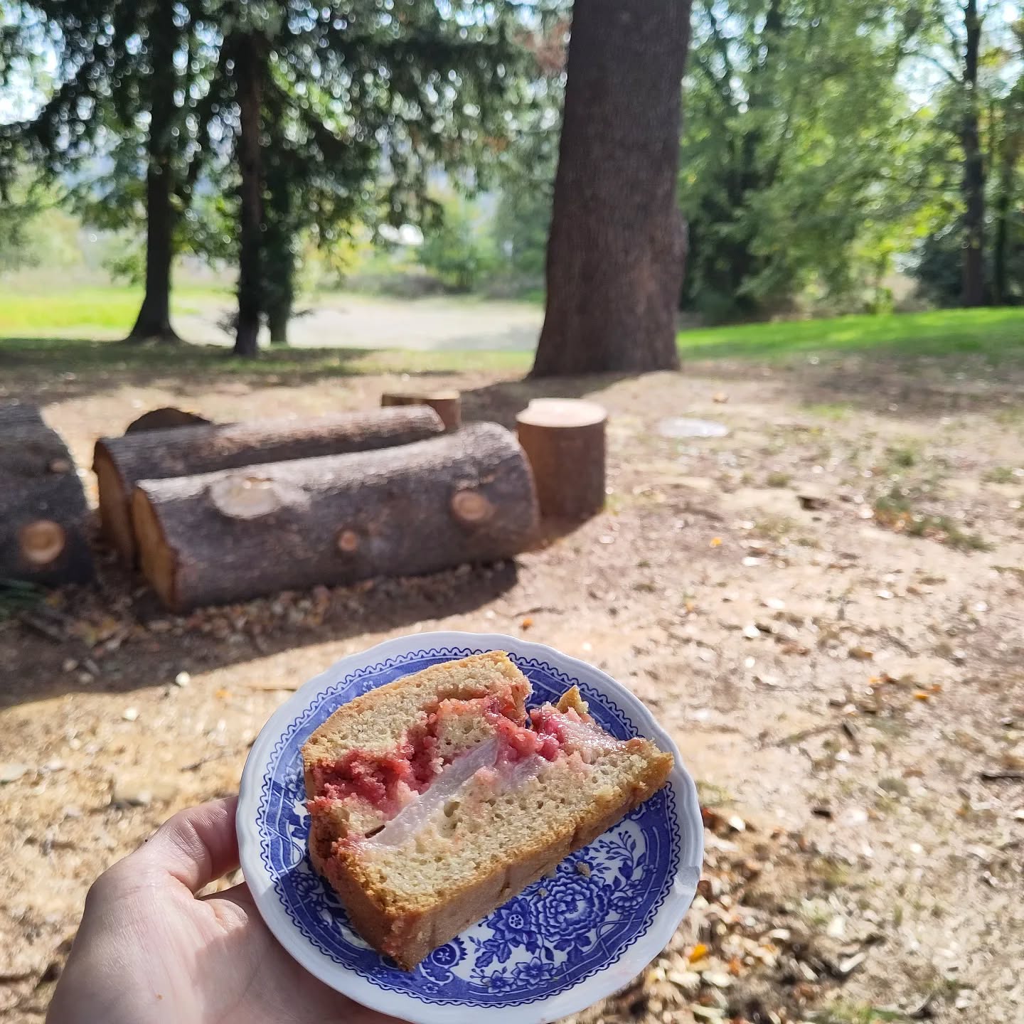 Gâteau lyonnais pralines et poires.
#foodies #lyon7food #onset #cateringlyon