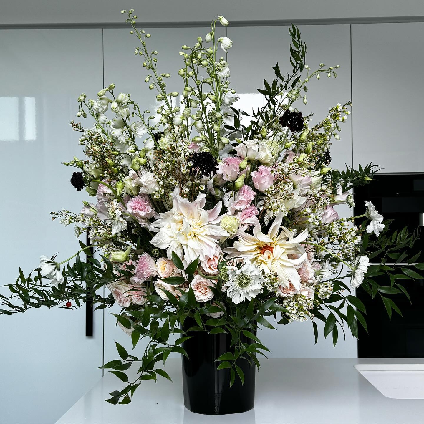 Starting 2024 in full bloom!