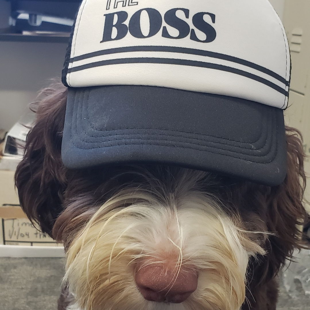 We're a little late, but hope everyone had a great Boss's Day!!
#rpmpartners #bossday2024 #generalcontractor #whostheboss
