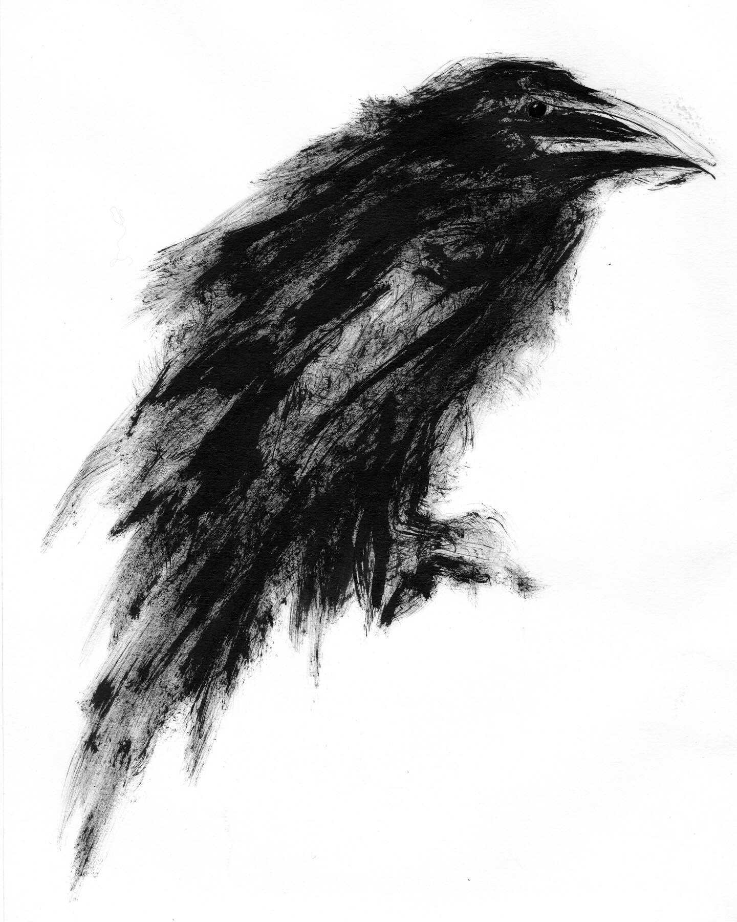 My name is Crow.
Who is his individual the world calls guardian of secrets?
#sumiink #crowportrait #crowpersonality #individualsmatter #crowdrawing