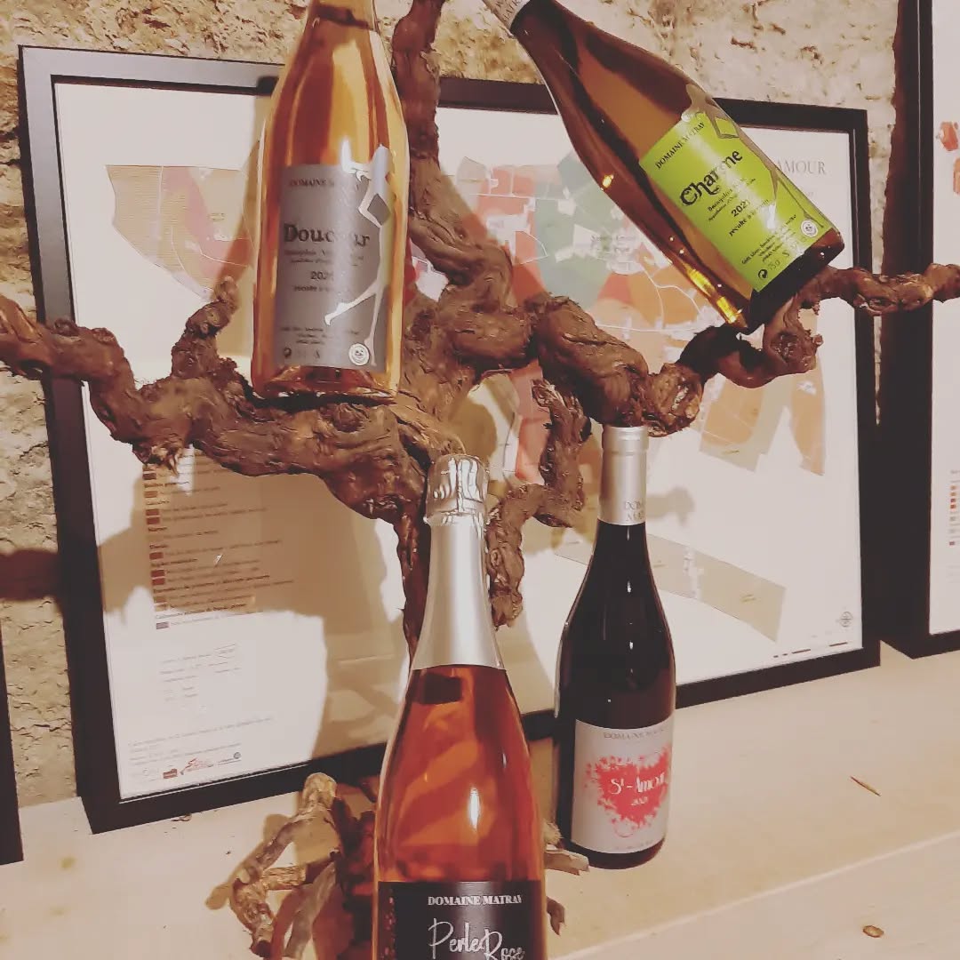 Le cep domaine Matray , nuances de parfums subtiles
Disponibles chez GAYVINS en exclusivité #gayvinssuisse