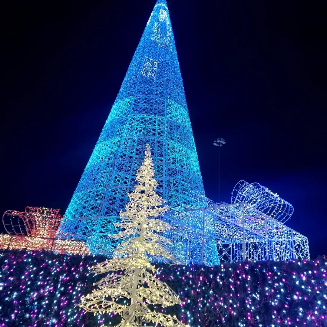 Christmas time and romance books: two of life's great joys.