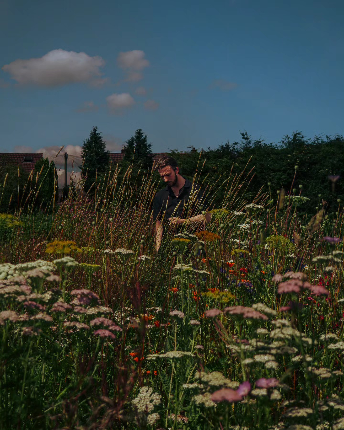 my love surrounded by wildflowers ๐ท๐ผ๐ธ๐บ
#naturephotographer #naturephotography #wildflowergarden #wildflowerphotography #lightroomclassic #lightroomedit #mutedcolours #mutedtones #wildflowers #wildflowerseason