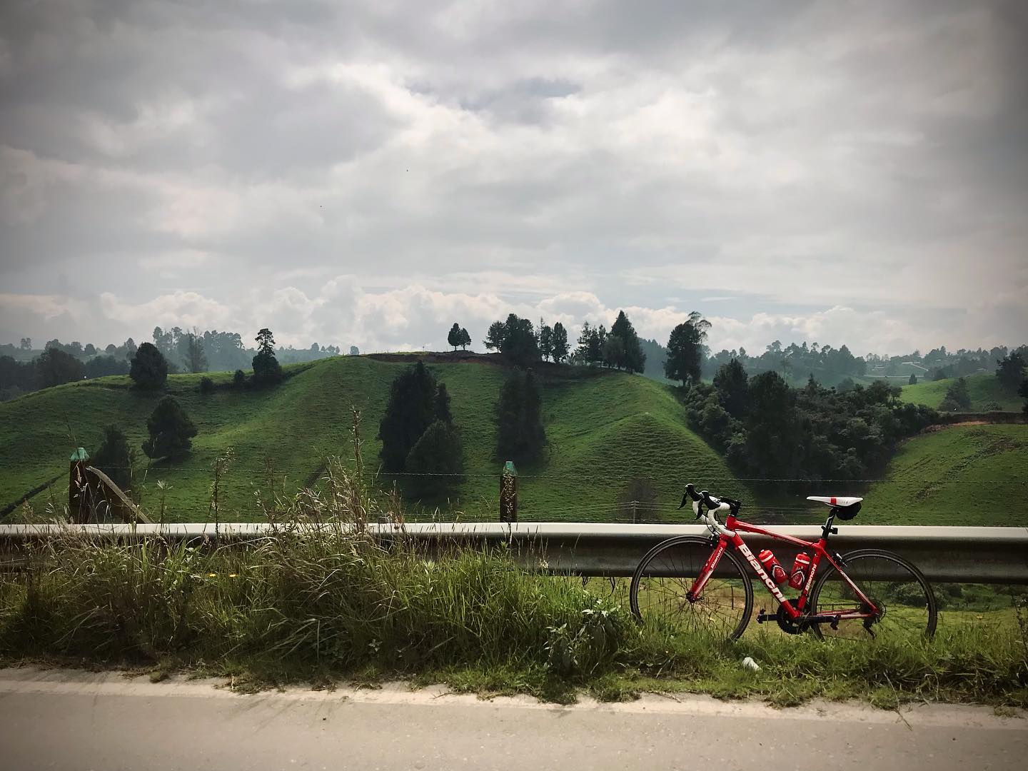 Evergreen!⛰🚲☀️🌴
•
•
•
•
•
#cyclingculture #insearchofup #cyclingmemories #roadcyclingpics #ridelots #lifebehindbars #roadporn #whyiride #roadslikethese #cyclingporn #fromwhereiride #beautyofcycling #cyclingphotography #whereiride #outsideisfree #wymtm #switchbacks #instaroads #mountainpass #fromwhereweride #cyclingadventures #roadcyclist #cyclingshots #roadstotravel #mountainphotography #roadstoride #natgeotravels #cyclingtour #cyclingholidays #cyclingaddict
