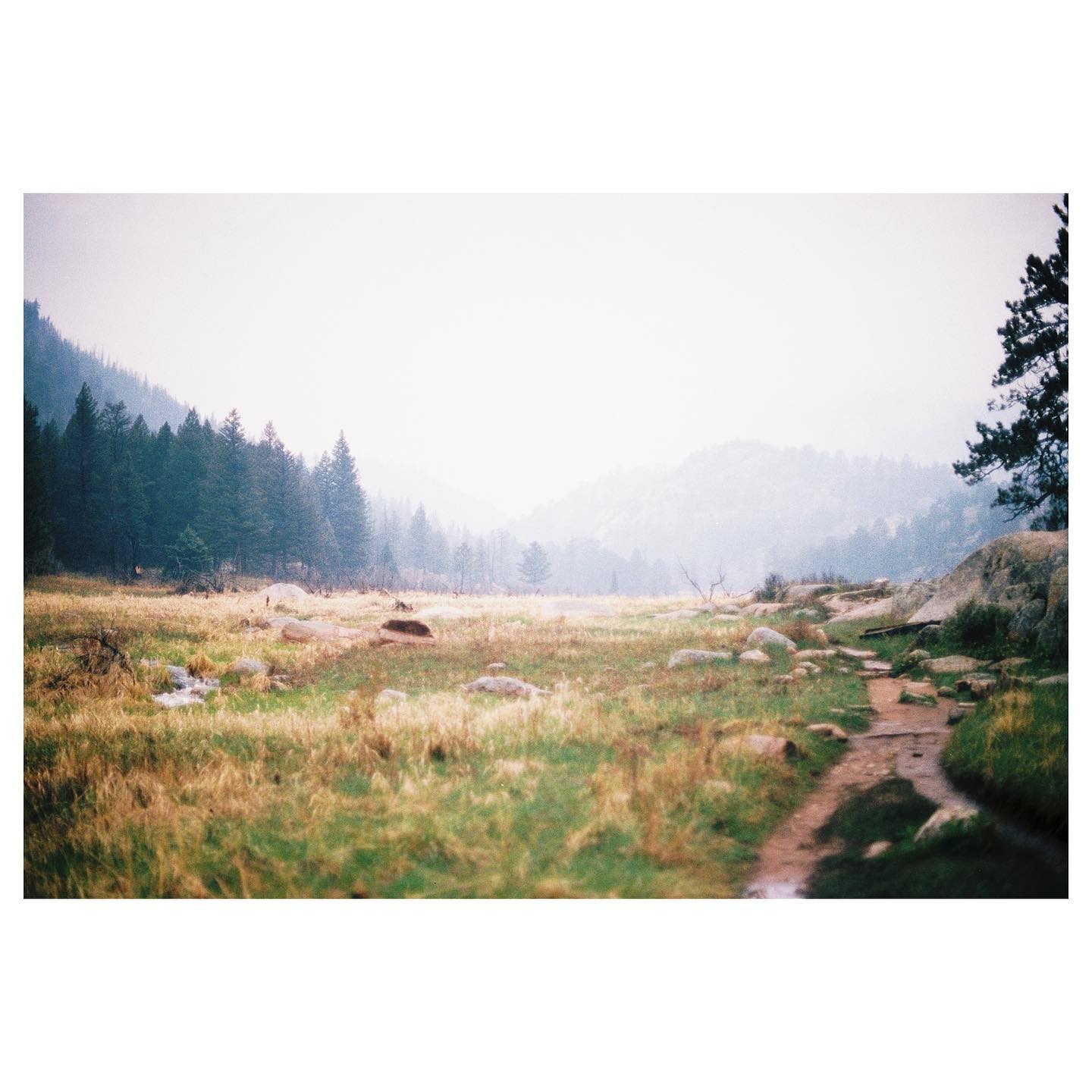 @ cub lake
📷: canon ae-1 / kodak portra 400
#ae1 #35mm #canon #canonae1 #portra400 #kodak #kodakportra400