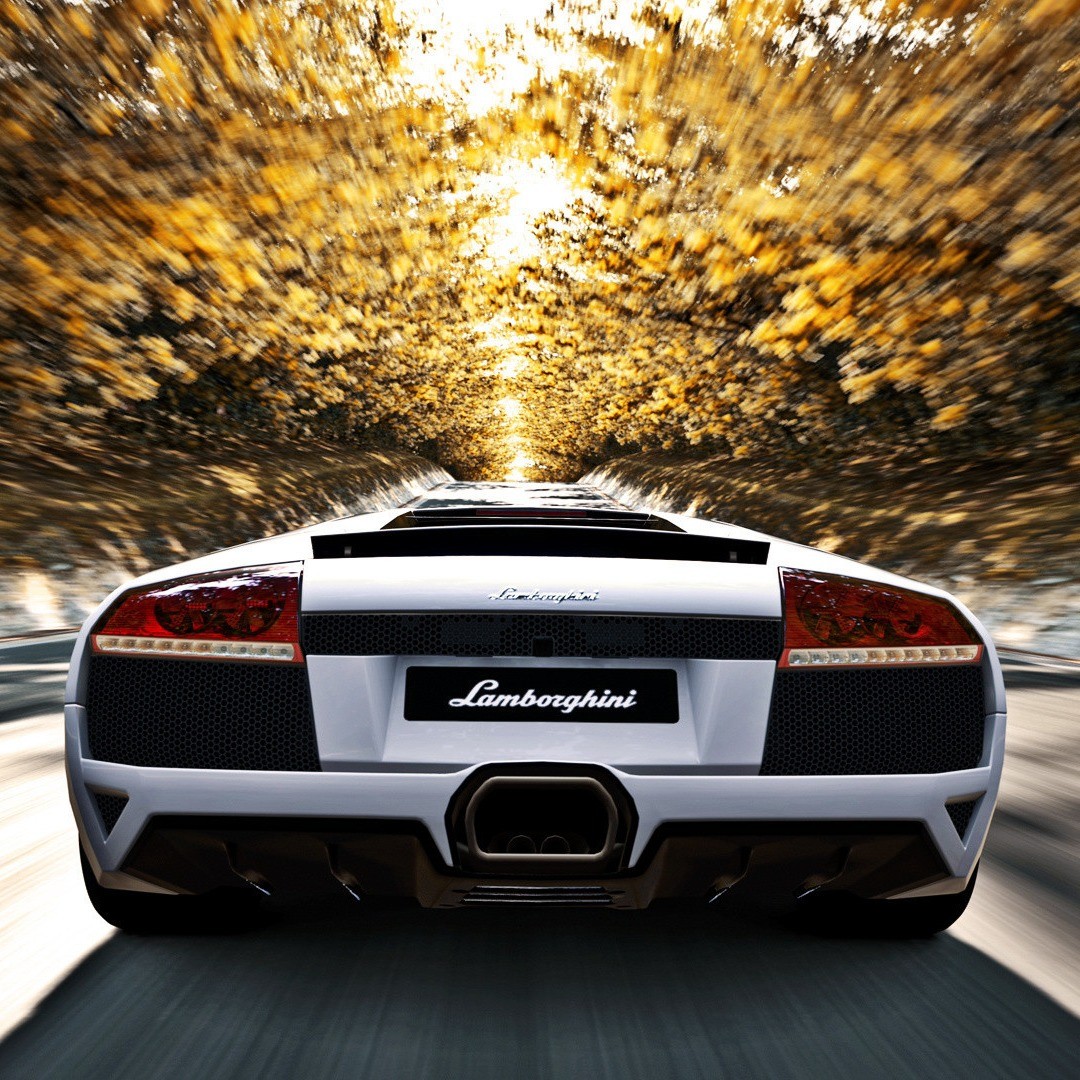 Fall is there ... #lamborghini #supercar #hypercar #luxury #lifestyle #ontheroad