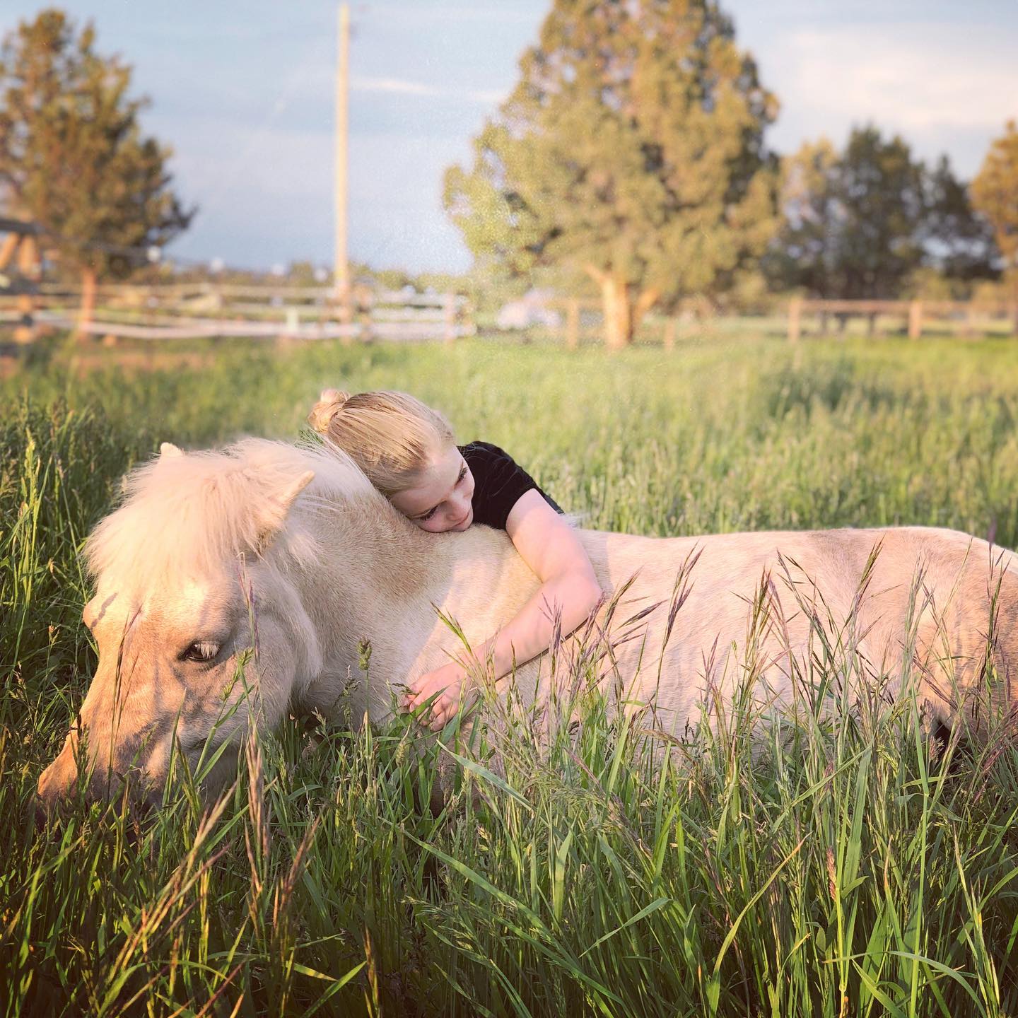 Who loves pony snuggles? 🖐🏻 ....................#hugahorse #ponylover #horselaydown #horsetricks #shetlandpony #palominohorse #kidsandhorses #miniaturepony