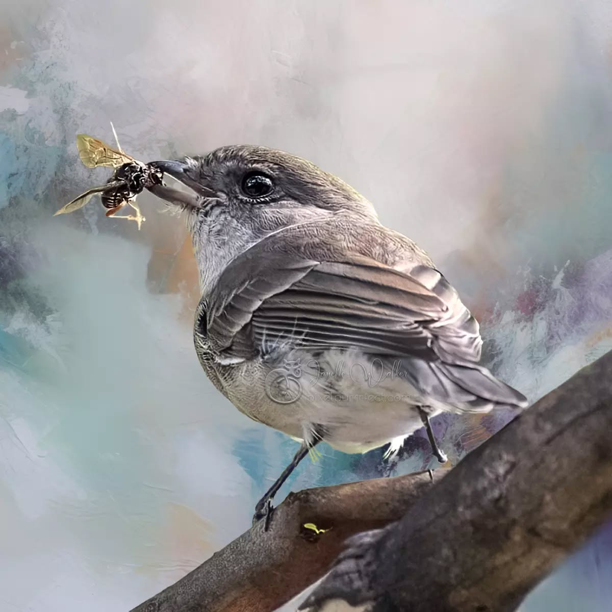 "There is no magic to achievement. It's really about hard work, choices, and persistence."
- Michelle Obama
.
.
.
.
.
.
.
.
.
.
.
.
.
#GoldenWhistler #pixelpurrrfectphotography #exquisitepics20_australia #rebel_artandedits #mcl_arts #illustrious_art #artistry_flair #super_photoeditz #edit_lovers_united #wildlife_artistry #birdsofaustralia #Creative_AnimalArt #bpa_arts #photo_creation_silver #rebels_nature #rebels_united #explore_wildlife #wonderland_arts #art_andfact #galleria_of_grace #illustrious_magic #dreamland_arts_of_nature
#australianbirds #wildlife_artists #everything_animals #nature_perfection #everything_imaginable #pictas_art #fiftyshades_of_nature #gottalove_a_