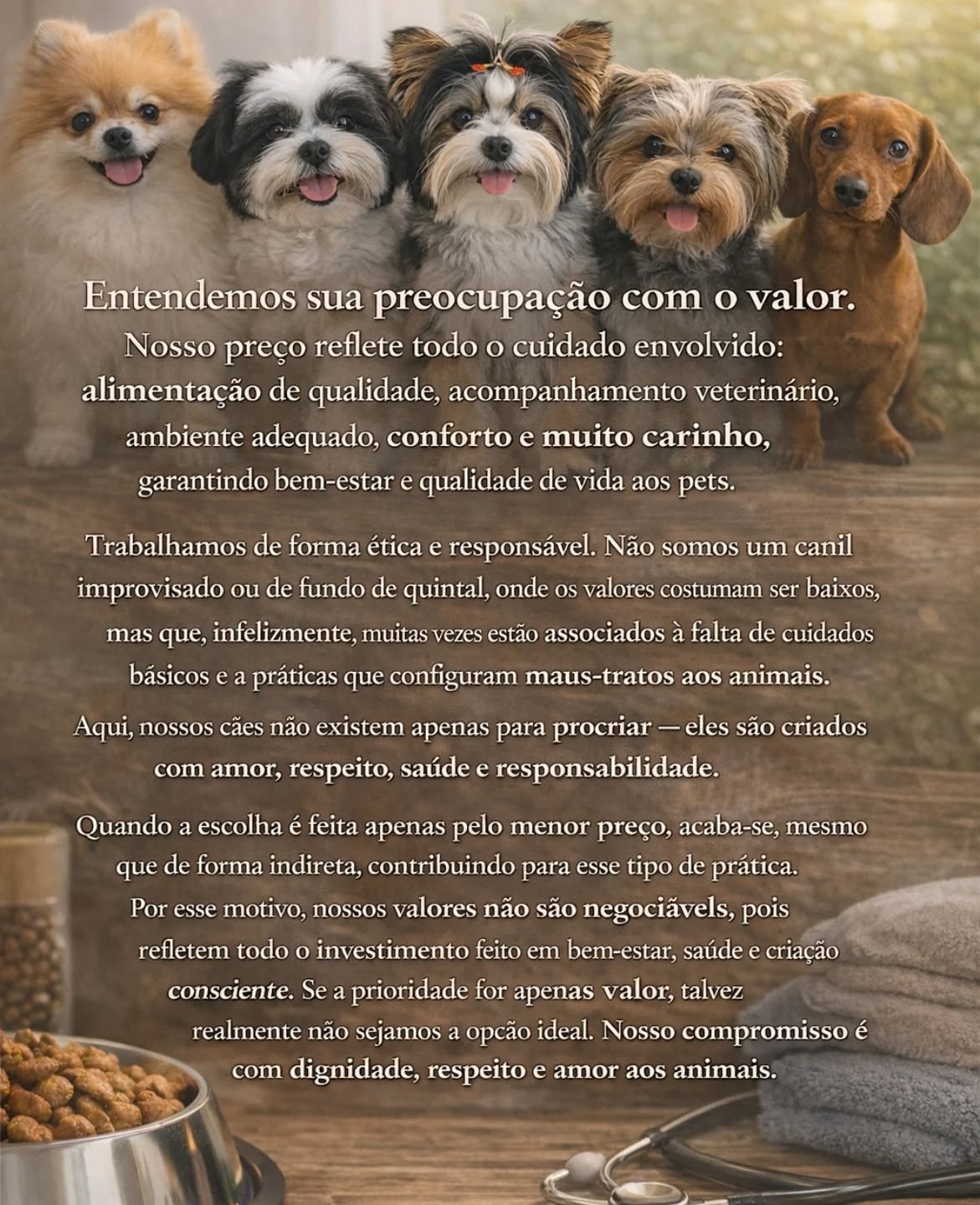 O amor tem🐾🐾 patas
Amamos e os respeitamos 💞💘