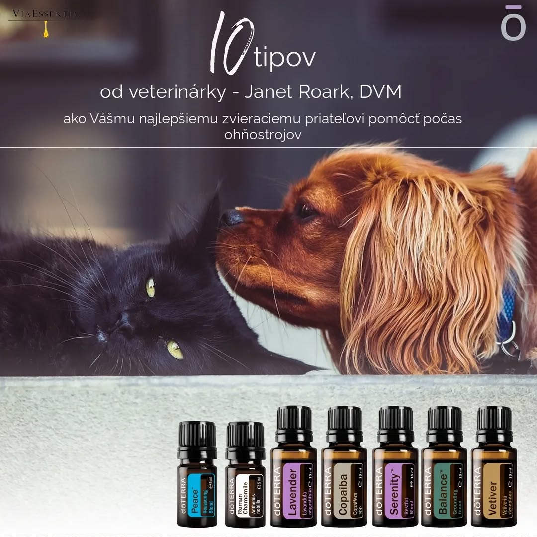 Esenciálne oleje s upokojujúcim účinkom dokážu pomôcť 🐶🐱👇.
To aký esenciálny olej bude mať na Vášho chlpáčika najsilnejšie účinky - záleží od neho samotného, keďže každé zvieratko má svoju unikátnu osobnosť... Všímajte si, ktorá vôňa mu nevadí, ako na ňu reaguje...☺️
Verím, že to spolu ako najlepší pritelia dnes úspešne zvládnete.😇🫶
Prípsevok som prevzala od veterinárky Janet Roark, DVM (FB stránka - Essential Oil Vet - Janet Roark, DVM (Essential Oil Vet - Janet Roark, DVM) a doplnila som ho ďalšími všeobecnými informáciami, ktoré vyplývajú z praktického používania esenciálnych olejov.
🐶🐱 a teraz k tomu, čo odporúča:
✅Usistite sa, že bude mať Váš maznáčik pred začiatkom ohňostrojov dostatok pohybu a aktivít, ktoré mu prinášajú radosť.
✅ Vytvorte im bezpečné mieto, kam sa môžu schovať.
✅ Počas ohňostrojov pustite hudbu, na ktorú Vaše zvieratko dobre reaguje, existujú aj zoznamy skladieb, ktoré sú uverejnené napr. na Spotify a sú určené presne na tieto účely. Vyskúšajte ešte pred Silvestrom ako na ne bude Váš maznáčik reagovať a ak bude spätná reakcia pozitívna.... budete pripravení.
✅ Precvičujte s nimi povely, aby ste rozptýlili ich pozornosť.
✅ Pokiaľ musíte ísť v čase ohňostroja von, VŽDY majte zvieratko na vodítku, v postroji, aj v prípade, keď máte pozemok oplotený.
✅ Skontrolujte či má Váš maznáčik nasadený obojok / aktuálny mikročip
✅ Pripravte si vnútorné zábavné aktivity.
✅ Dajte im super zábavnú hračku alebo maškrtu
✅ Aplikujte na seba esenciálne oleje s upokojujúcim účinkom. Váš domáci miláčik cíti Vaše obavy a stres....., keď si pomôžete Vy, pomôžete aj svojmu zvieraciemu priateľovi.
✅ Esenciálne Oleje doTERRA aplikujte do sonického difuzéra na báze vody a difúzujte 2 - 3 kvapky už niekoľko hodín pred začiatkom ohňostroja. Stačí naozaj málinko, nakoľko má Váš domáci miláčik veľmi ostrý čuch a vníma vône oveľa výraznejšie.
❗NEZABUDNITE nechať dvere v miestnosti, kde esenciálne oleje difúzujete OTVORENÉ, aby sa od vône v prípade potreby mohol Váš maznáčik vzdialiť. S esenciálnymi olejmi vytvoríte pokojnú atmosféru. Odporúčam využiť esenciálne oleje, ktoré sú zobrazené na obrázku. 😊
#aromaterapia #upokojenie #viaessentia
