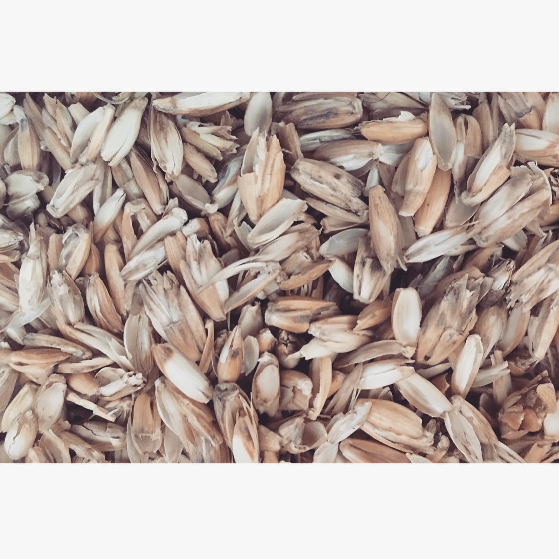 dinkelspreu - wirkt beruhigend & krampflösend