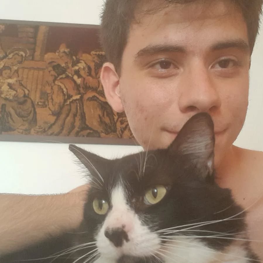 Cats