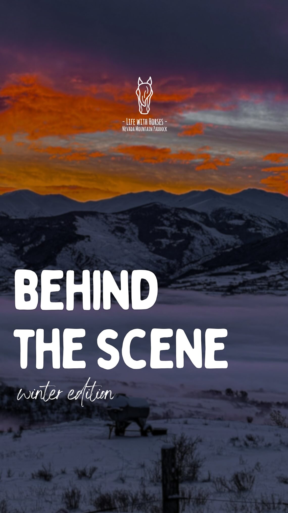 Notre routine matinale en hiver ❄️
Parce que rien ne peut nous arrêter de soigner nos Chevaux🐴
Ici on vit un vrai hiver de montagne comme nous n’en avions plus vu depuis des années ! Et vous, dites nous commentaire comment se passe le votre avec les chevaux?
Force à tous ! 💪🏻
⸻
🇬🇧 Our winter morning routine ❄️
Because nothing can stop us from taking care of our horses 🐴
Here, we are experiencing a real mountain winter like we haven’t seen in years!
And you, tell us in the comments how your winter is going with your horses.
Stay strong everyone! 💪🏻
⸻
🇦🇩 La nostra rutina matinal a l’hivern ❄️
Perquè res no pot impedir-nos cuidar els nostres cavalls 🐴
Aquí estem vivint un autèntic hivern de muntanya com no en vèiem des de fa anys!
I vosaltres, expliqueu-nos als comentaris com està anant el vostre hivern amb els cavalls.
Força a tothom! 💪🏻
#cerdanya #bienetreequin #winter #horselifestyle #polaris