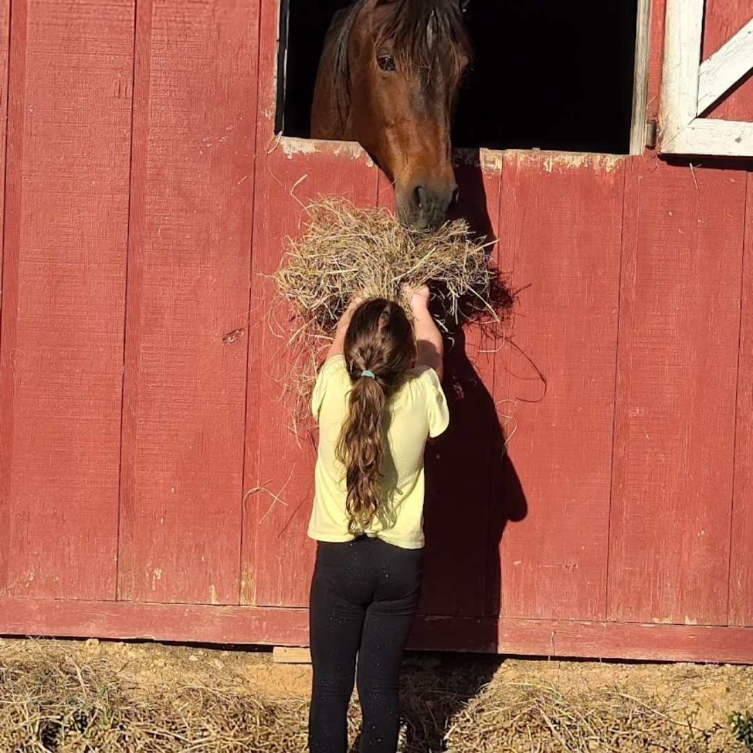 Best combination: girls and horses. We board and have trails. #horsefeeding #ridingtrails #alabamahorses #horseboarding