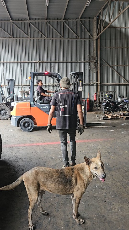 You have entered the blind spot.
Please stay away.
#system
#testing
#bringyourdogtoworkday
#bsforklift