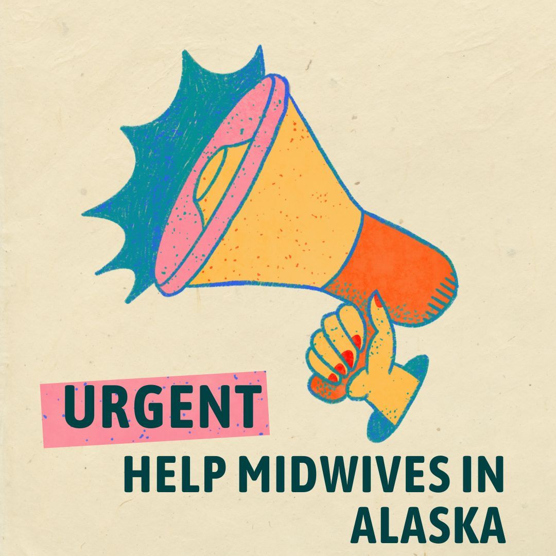 Please advocate for midwives by emailing your local senator and representative, and the governor. The Board of Midwives is at risk of losing control to the Department of Commerce who has no experience in midwifery.
WE NEED YOUR VOICE!
Vote NO on Executive Order 130
Vote YES on HB 175
#alaskamidwives #alaskamidwifery #voteinalaska #alaska #alaskamom