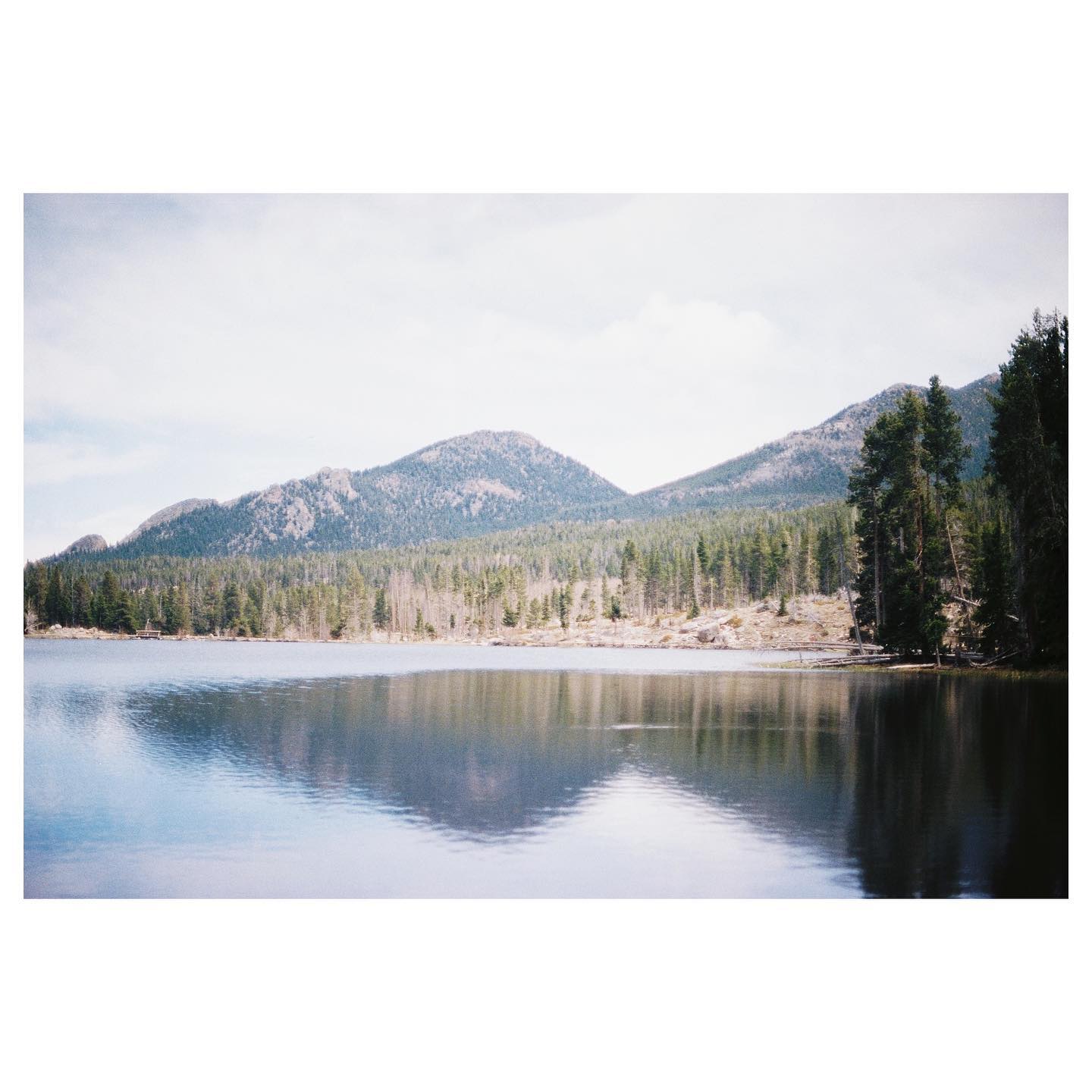 @ sprague lake
📷: canon ae-1 / kodak portra 400
#ae1 #35mm #canon #canonae1 #portra400 #kodak #kodakportra400