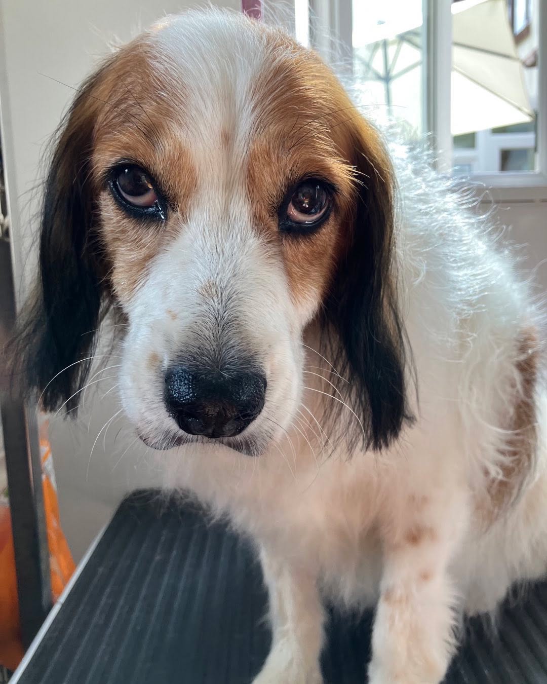 And the other one!! I’m hoping I will be forgiven later. They were expecting a quiet day as the kids are back to school! 😘