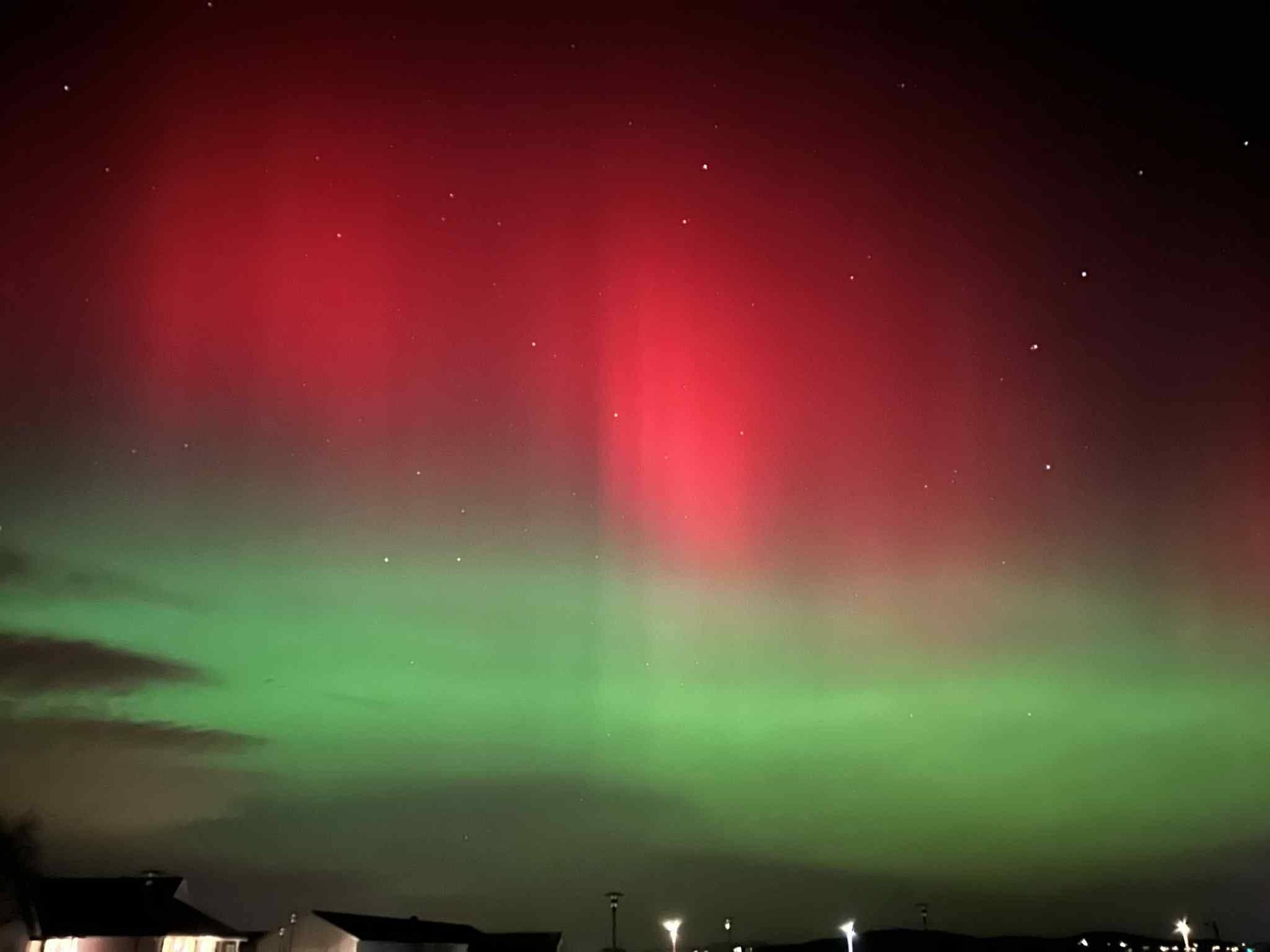 📷 Zsuzsanna Ferenc