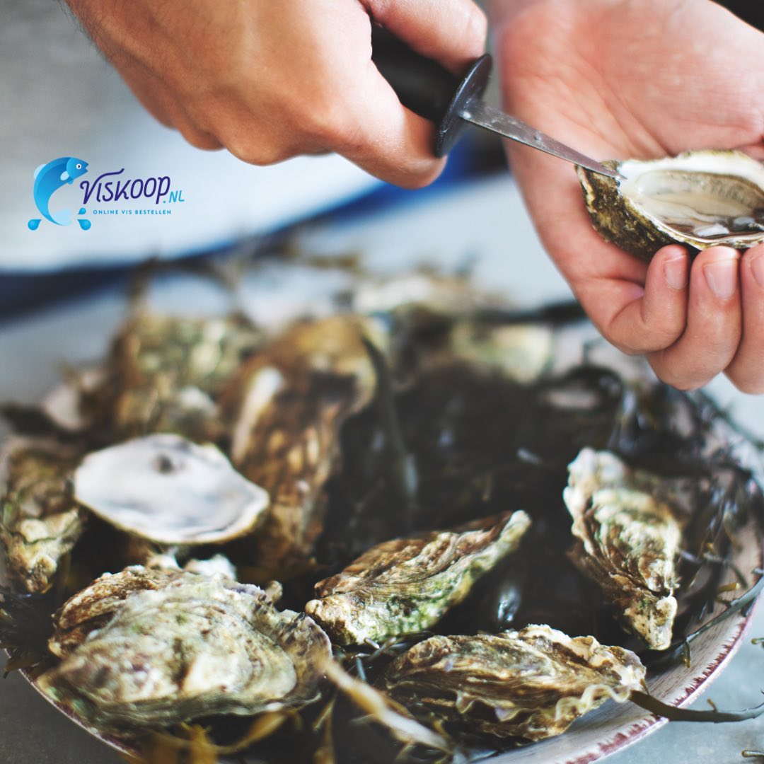 🦪 Oesters zijn als cadeautjes van de zee - prachtig verpakt en gevuld met heerlijke verrassingen. De combinatie van hun zoute, zoete en boterachtige smaken is een ware traktatie voor de smaakpapillen.
Dus waarom zou je jezelf niet verwennen met deze heerlijke delicatesse? Of je ze nu rauw of gekookt eet, é