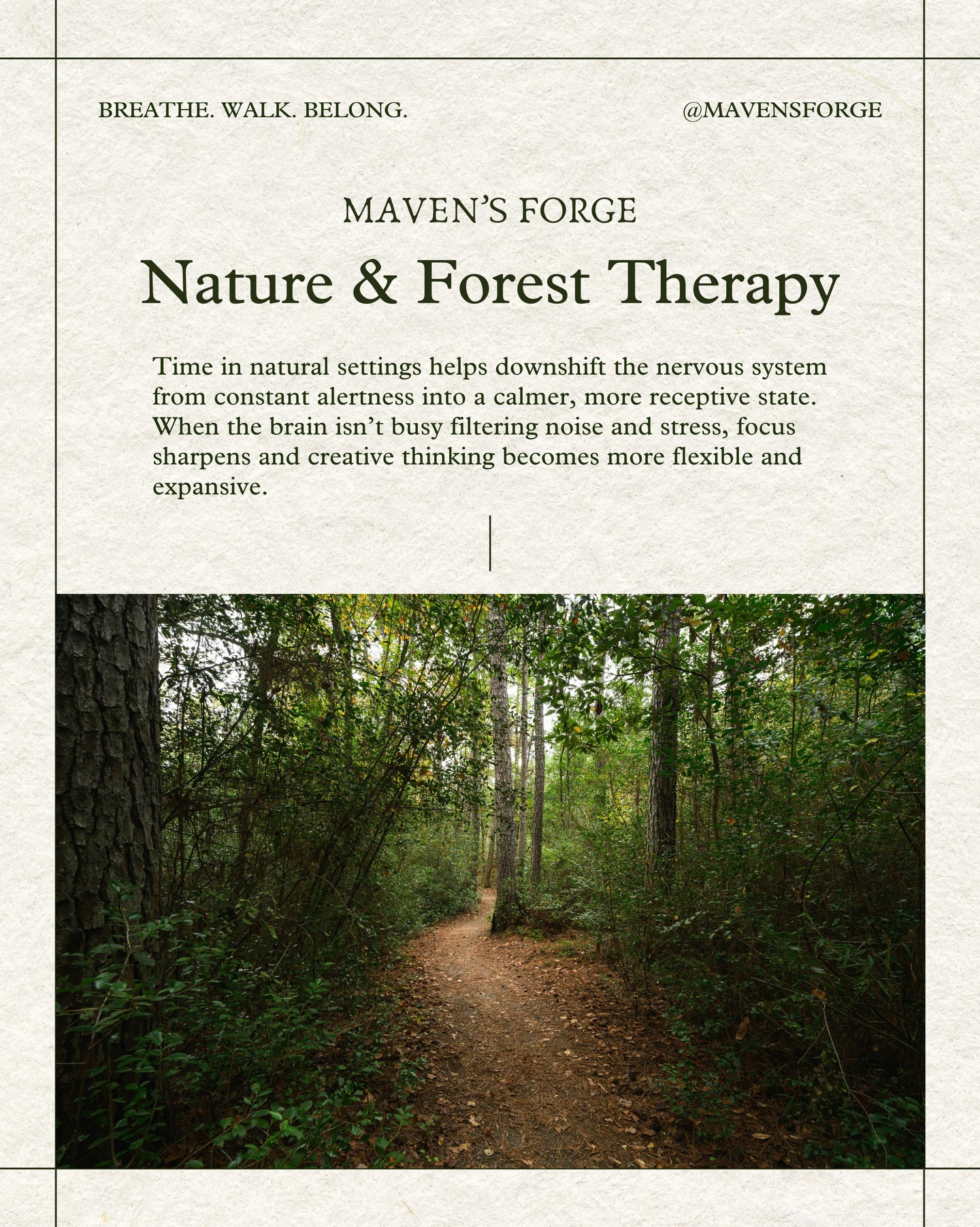Forest Therapy guided walks are designed to minimize mental effort and sensory overload. This allows the brain’s executive functions to rest, making space for renewed focus, insight, and creative flow to emerge naturally.
#natureandforesttherapy #forestbathing