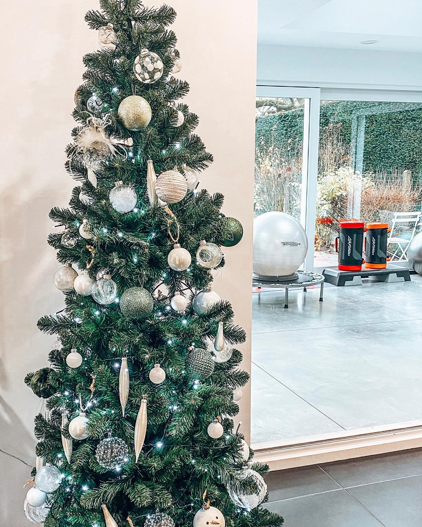 #christmasatmeditrina🎄