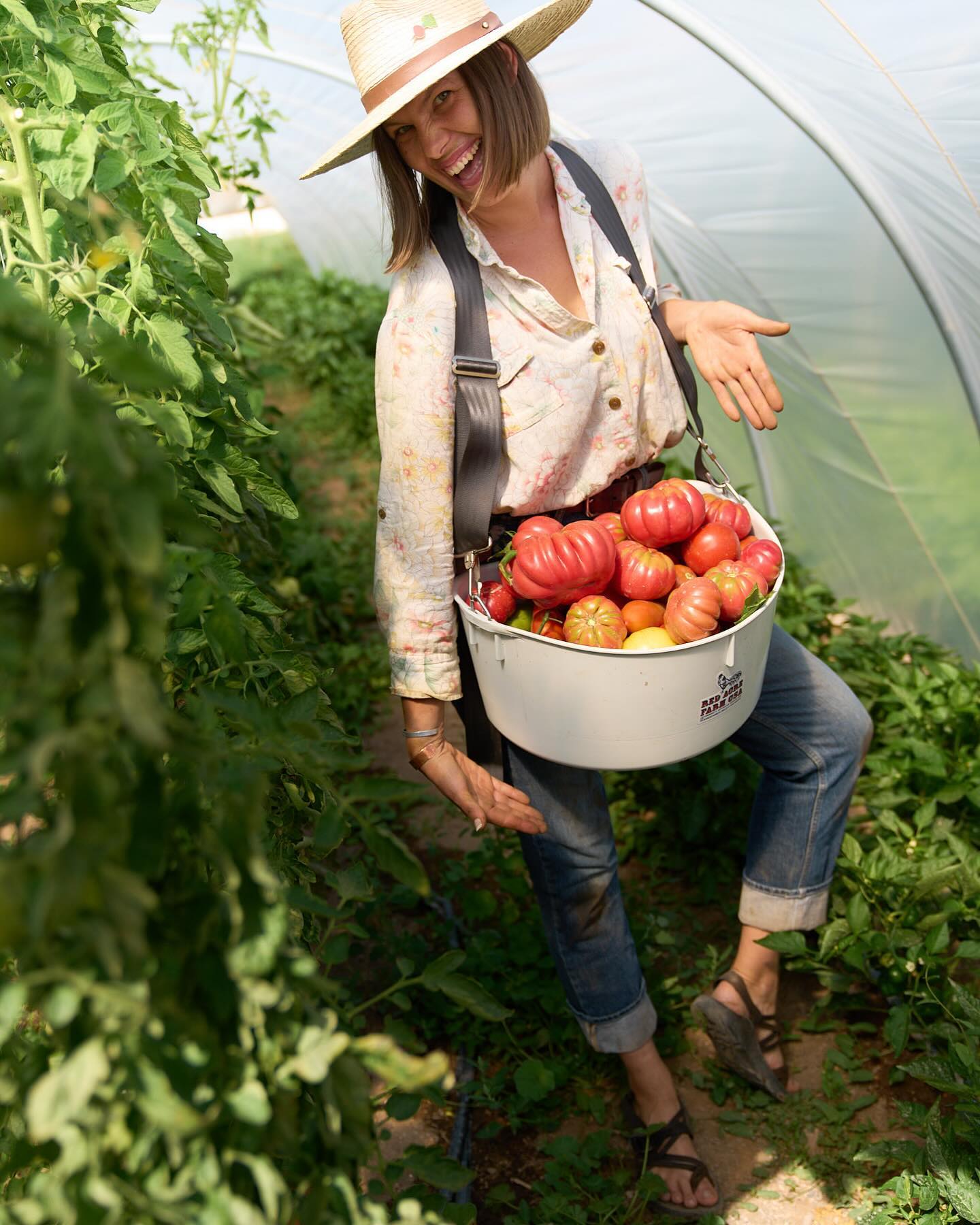 ❄️Winter Growers Podcast episode drop!❄️ On today’s show my guest is Sara Patterson of Red Acre Farm CSA @redacrefarm in Cedar City, Utah.
Sara was just 14 years old when she started her first CSA on her parent’s land after they moved to Utah from California. Now 15 years later, she has built Red Acre Farm into a thriving 1-acre certified organic farm with a year-round full diet CSA, farm stand, farm kitchen, farm stay, along with hosting farm dinners, workshops, and other community events. She also founded the Utah Farm and Food Conference, now in it’s 8th year, and with her mom Symbria established the Red Acre Center for Food & Agriculture @redacrecenterut - a non-profit with a focus on farmer education and advocating for farmers on the state level. Since 2015, she and her mom have worked together to pass more than 19 bills directly related to small scale agriculture and artisan producers in Utah. Sara is a powerhouse of energy and drive to make small scale farming and local food accessible to all in her community, and to inspire others to do the same. We wrap up our conversation with the Lightning Round questions including, “How do you turn off farming? Or, can you/do you?”
Listen to our conversation wherever you get your podcasts (link in bio). As always, a big thank you to Farmer Jesse, Farmer Jackson and the crew @notillgrowers, and the show’s sponsors @johnnys_seeds, @rimolgreenhouse and @bcs_america for making this podcast possible.
Tune in each Monday this summer for a new episode. Next week we head to New York to hear our LAST guests of Season 5 - it’s a good one!
#wintergrowerspodcast #wintergrowers #notillmarketgardenpodcast #winterfarming #moveablehightunnel #fourseasonfarming