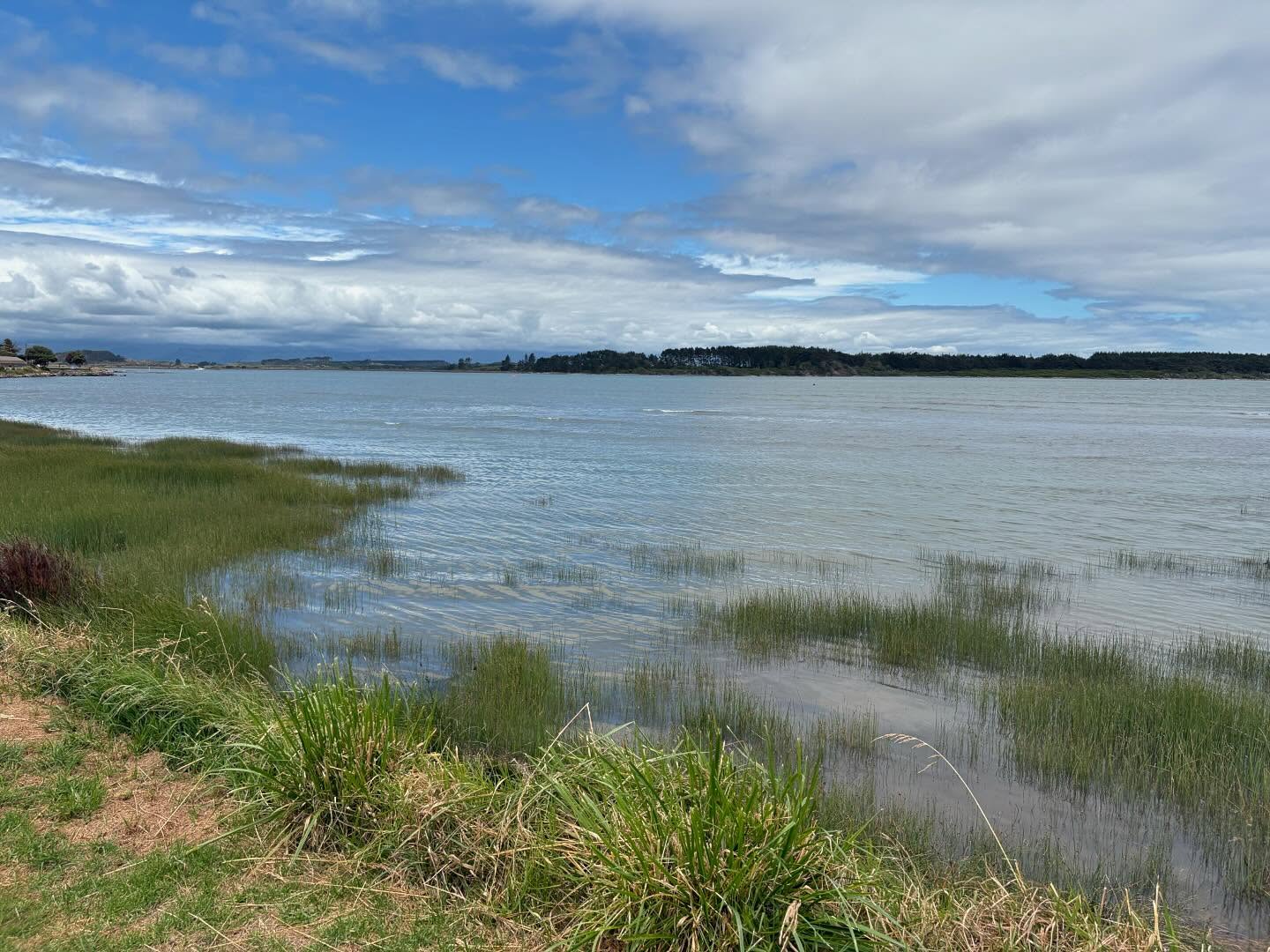 Manawatu estuary Foxton - a must see!
Internationally important. One of the best bird watching spots in the motu. 250 ha of sandbanks and salt marsh