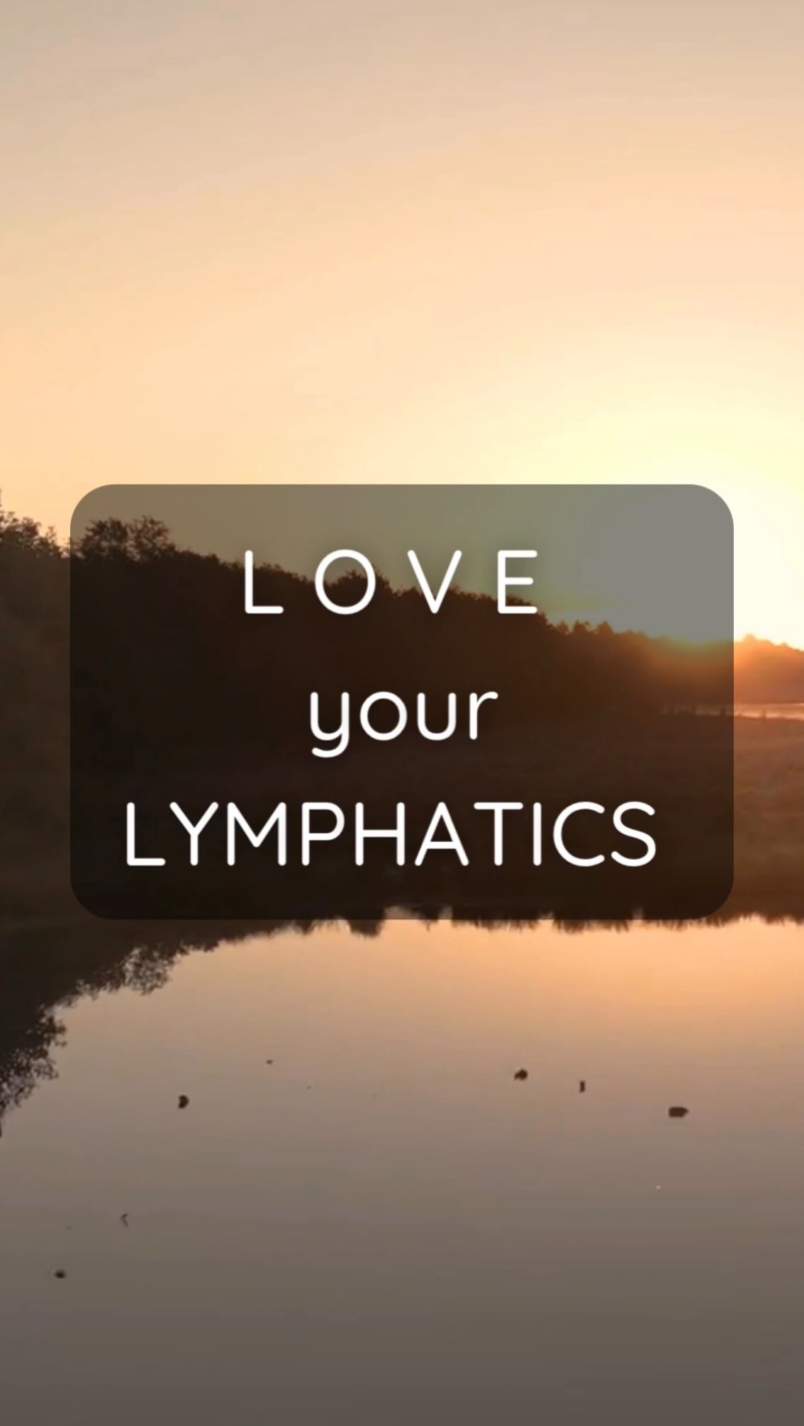 Care for your Lymphatic System with L O V E 🤍💛🤍
In Naturopathic medicine, Your lymphatic system is your body’s built-in cleanup crew, working 24/7 to filter toxins, balance fluids, and keep your immune system strong. Unlike your heart, it doesn’t have its own pump … YOU are the pump ⛽️💪🏽⛽️
When your lymph flows, everything works better: clearer skin, less puffiness, more energy and a healthier body 🤩
Here are 5 easy ways to show it some L O V E today:
* Move it: Simple activities like walking, yoga, or bouncing (rebounding) are the best ways to get fluid moving 🧘🏼♀️
* Breathe deep: Deep belly breathing acts as a natural pump for your largest lymphatic vessels 💨
* Hydrate often: Lymph is about 95% water, staying hydrated prevents it from getting thick and sluggish 💦
* Dry Skin Brushing: Gently brush your skin toward your heart before showering to stimulate the vessels just below the surface 😍
* Wear loose clothes: Ditch the tight waistbands and underwire bras to allow for unrestricted drainage 👙
Small, daily rituals make a massive difference in how you feel … How are you moving your body today? 👇
#LymphaticHealth #WellnessRituals ImmuneSupport #BodyFlow #SelfCareDaily #DetoxNaturally