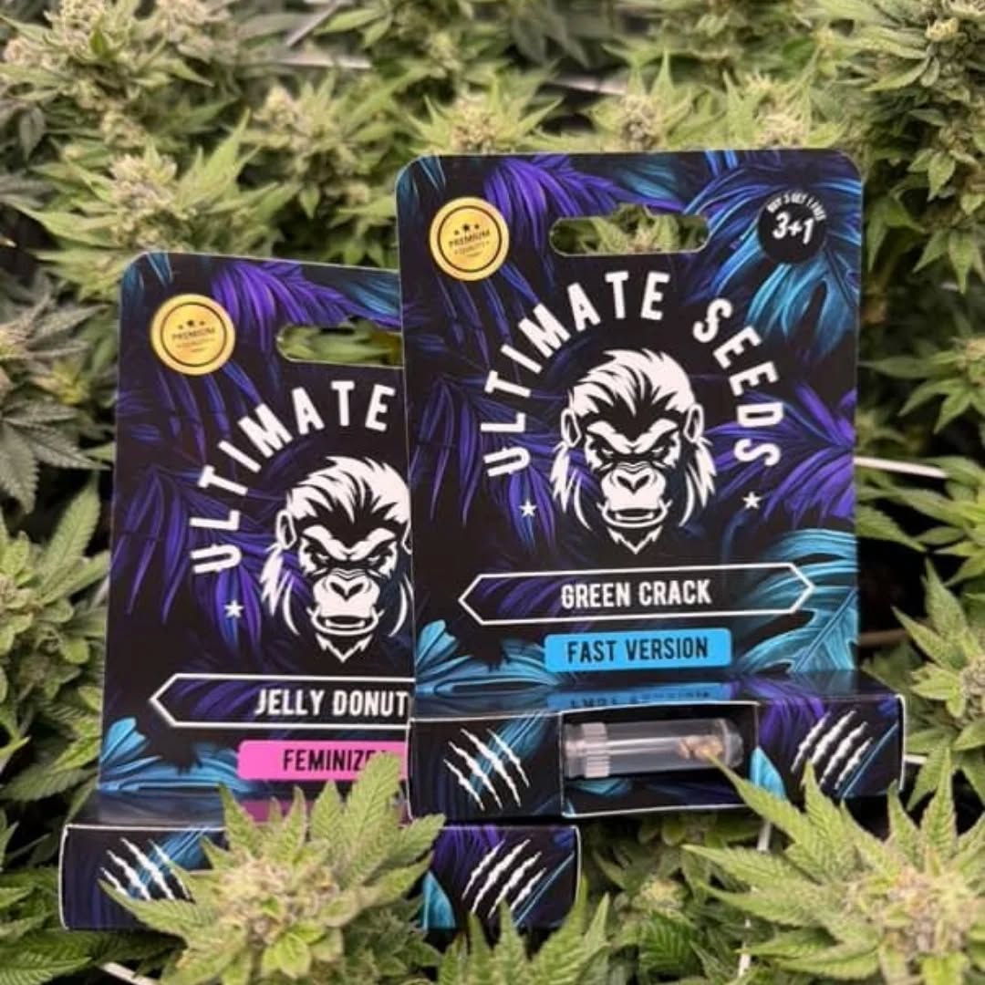 Ultimate Seeds – quality that grows!
At Ultimate Seeds, everything revolves around quality, reliability, and satisfied growers. We supply fresh cannabis seeds directly from the Netherlands, carefully selected and appreciated by a growing community of happy customers worldwide.
What makes us unique?
👉 We ship 7 days a week – even on Sundays.
No waiting times, no hassle. Order today and we get to work immediately.
In addition, you always receive free seeds with us:
Order 3 seeds → receive 1 free
Order 5 seeds → receive 2 free
Order 10 seeds → receive 4 free
This way, you always get more value for your money.
We ship worldwide, from America to Australia, and in most cases deliver within 5 business days. Discreet, fast, and reliable.
At Ultimate Seeds, customer satisfaction is our number one priority. Everything we do has one goal: providing you with top-quality seeds and a service you can trust.
🌱 Ultimate Seeds – because real quality makes the difference.
