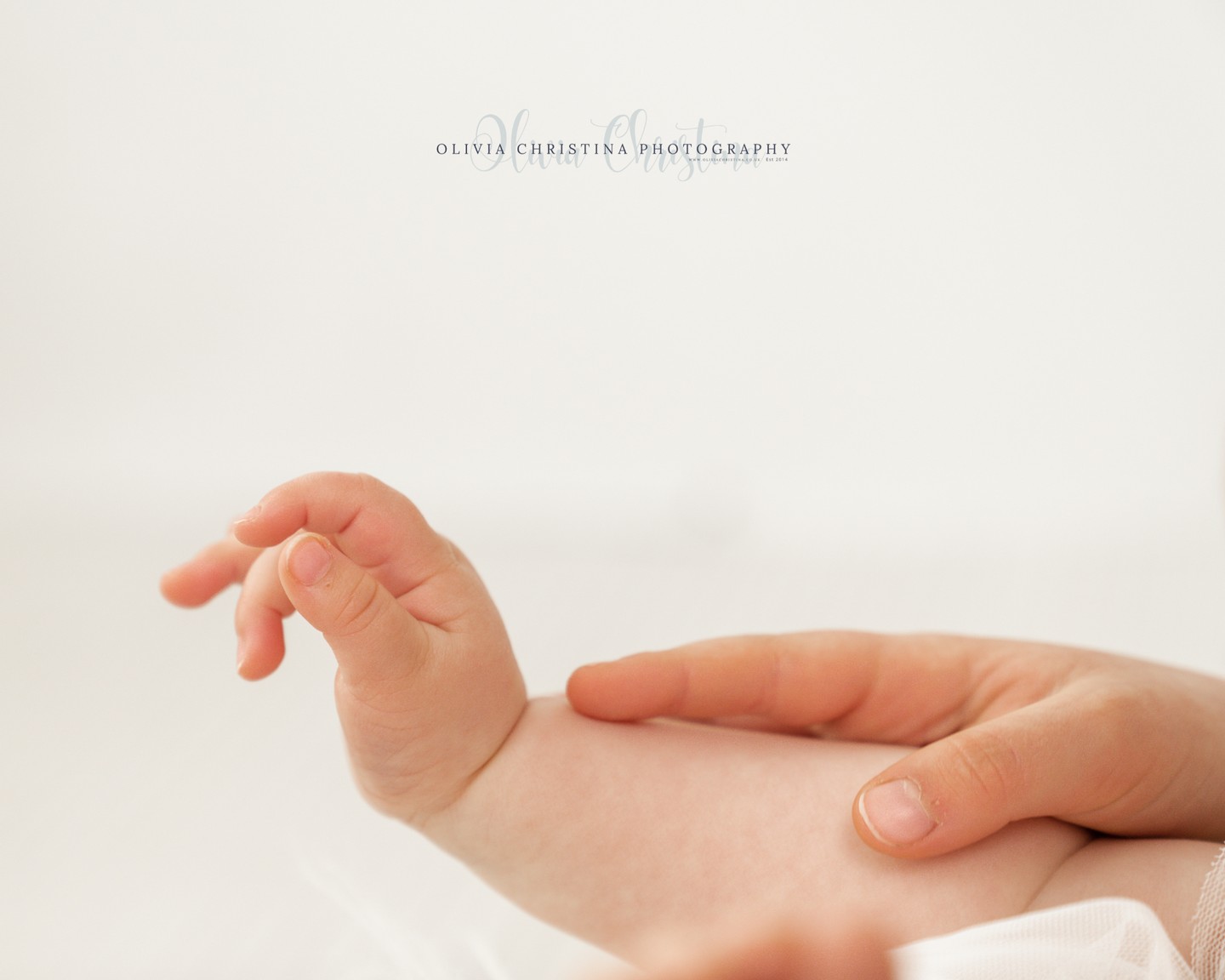 The Bump to Baby experience is perfect for parents who want simplicity, continuity and beautiful memories without rebooking each stage.
www.oliviachristina.co.uk
#bumptobaby #babyfirstyear #hertfordphotographer #newparents