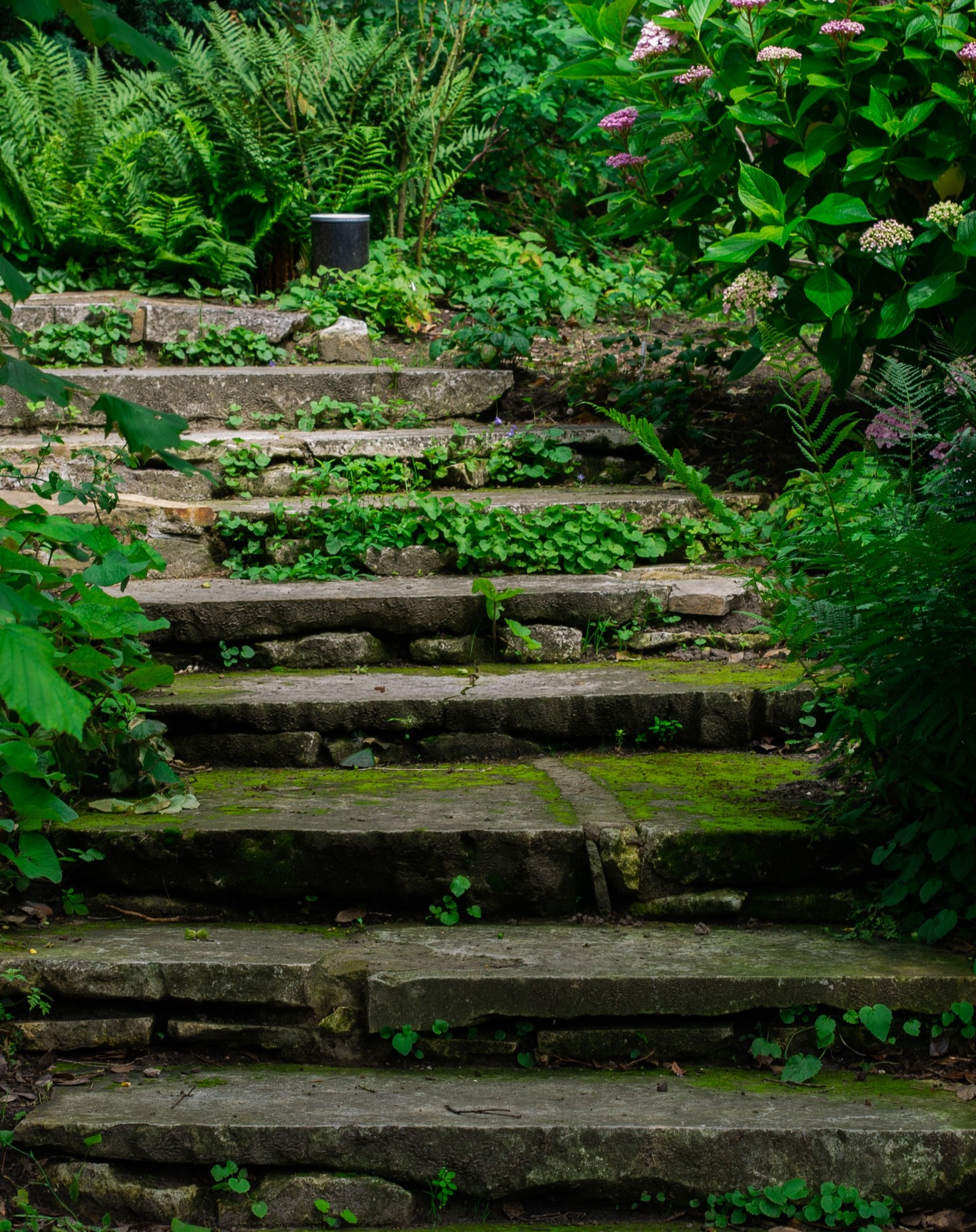 Garden Old Stone Steps
.
.
.
.
#dimispix #belgium🇧🇪 #photography #photooftheday #garden #oldstone #Old #StoneSteps #instagram #nature #naturephotography #photoshoot