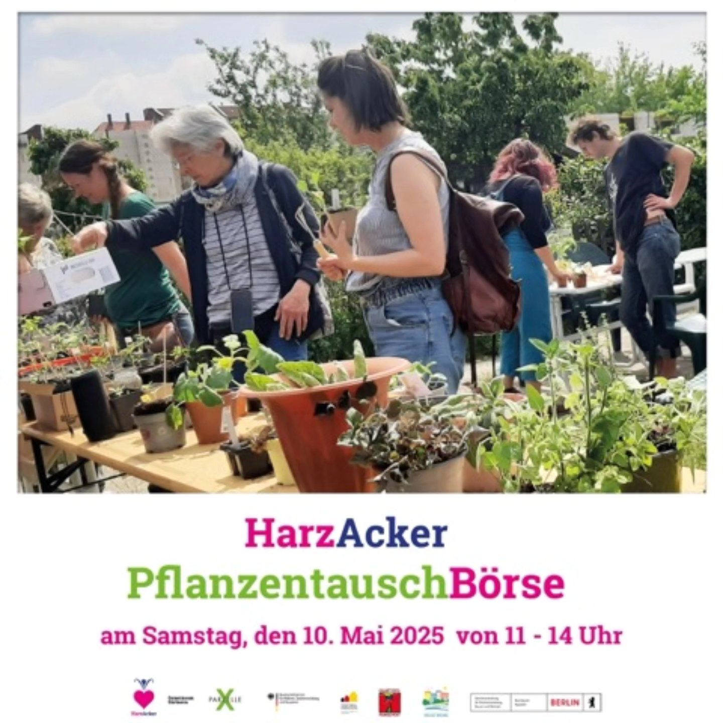 🌿 Pflanzentauschbörse 2025 🌿
Habt ihr auch schon so viel vorgezogen? Und euer Fensterbrett ist voll mit zu vielen Pflanzen als dass sie auf euren Balkon oder in den Garten passen könnten? 🤭😅
Dann ist diese Veranstaltung für euch:
Die alljährliche Saatgut- und Pflanzentauschbörse des HarzAckers findet am Samstag, den 10. Mai 2025 von 11-14 Uhr in der Kleingartenkolonie NCR e.V. in der Sonnenallee 187 statt! 🌱😍
Wie in den vergangenen Jahren nehmen wir den Tag der Städtebauförderung zum Anlass, um selbst vorgezogene Pflänzchen mit Nachbar*innen zu tauschen, also bringt eure überschüssigen Gemüse-, Kräuter- und Blumenjungpflanzen mit! 🌱🫛🌼
Herzlich eingeladen sind alle Hobby-, Balkon- und Kleingärtner*innen des Harzer Kiezes sowie alle, die sich für urbanes Gärtnern interessieren.🧑🌾👩🏽🌾
Wir freuen uns auf Euch! 🥰🌱
#HarzAcker #HarzAckerP25 #HarztalWildeRose #parzellex #pflanzdeinkiez #urbangardening #urbangardeningberlin #communitygardening #gemeinschaftsgarten #urbanfarming #baumscheiben #workshop #partizipation #kleingartenanlage #qmharzerstrasse #stadtnatur #umweltbildung #gesundeernährung #neukölln #harzerkiez #konsumfrei #gruen #senatsverwaltung #berlin