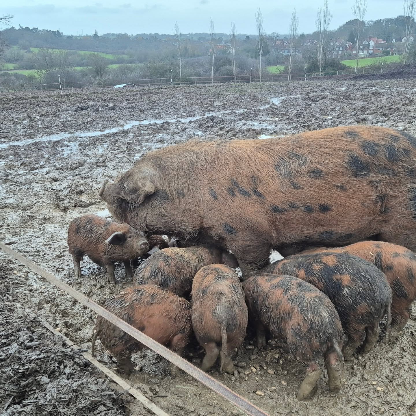 And the rain keeps coming...