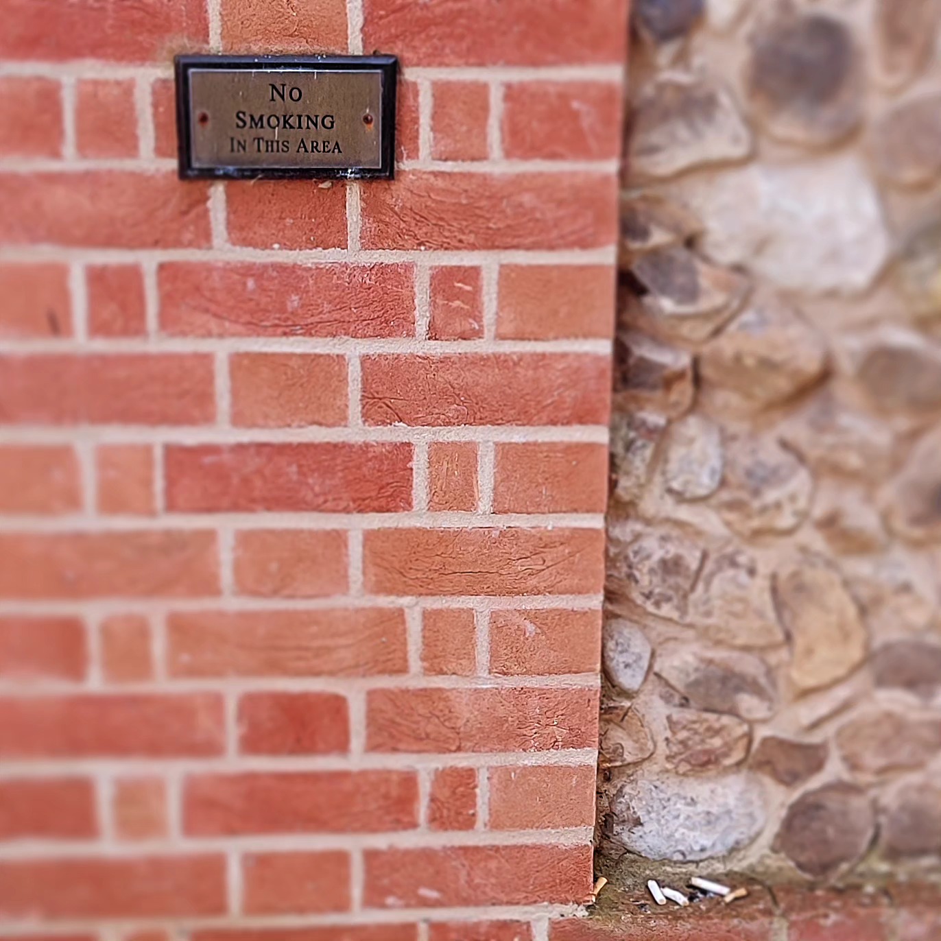 100% perfect. No notes.
.
#ThisIsEngland