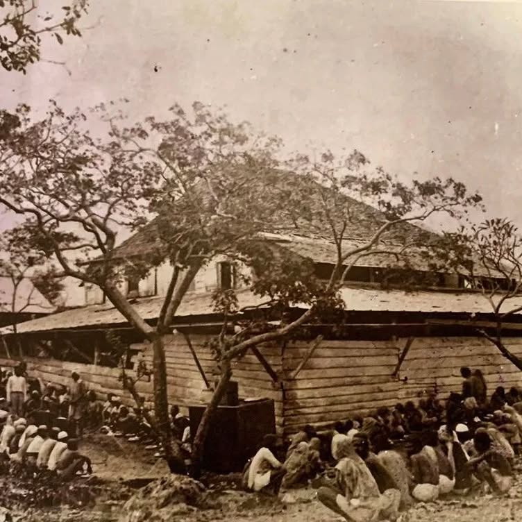 Posted @nationalarchivestt #DidYouKnow From 1866, Nelson Island was the primary landing, immigration and quarantine station for Indian indentured labourers to Trinidad.
Prior to this time, ships carrying indentured labourers docked in the Port of Spain harbour—the first being the Futtle Rozack (known widely as the Fatel Rozak), which arrived on May 30th 1845.
The first ship to dock at Nelson Island was the Humber, which brought 473 immigrants from India in 1866 (part of General Register D in our Collection).
Nelson Island was chosen to become the Indian Immigration Depot because immigrant vessels arriving at the Port of Spain harbour were putting a strain on the Public Health System (chiefly the Colonial Hospital), which was already dealing with the worsening issues of homelessness and poor sanitation in Port of Spain.
When a ship docked, indentured labourers underwent a thorough medical inspection. If found to have an illness, they were kept at the hospital on the island for treatment. Once well, they were dispatched to their designated estate to begin work.
The recruitment of Indian indentured labourers to British colonies continued for approximately 70 years until its suspension on March 12th 1917. It was discontinued because of a number of socioeconomic problems caused by the ongoing World War, as well as growing pushback by Indian nationalists against the low wages and poor working conditions.
The last ship to arrive in Trinidad was the S.S. Ganges, which arrived in Nelson Island on April 22nd 1917.
It was not until January 1st 1920 that this system of indentureship was abolished completely.
We invite you to visit our online exhibition “Nelson Island and Indian Indentureship in Trinidad” to learn more about the role of Nelson Island in the indentureship process, featuring photos and records from our Collections.
To view or download the PDF, please visit: https://natt.gov.tt/sites/default/files/pdfs/Nelson-Island-and-Indian-Indentureship-in-Trinidad_02.pdf.
This photo showing newly arrived immigrants on Nelson Island is part of the National Archives of Trinidad and Tobago Photograph Collection.