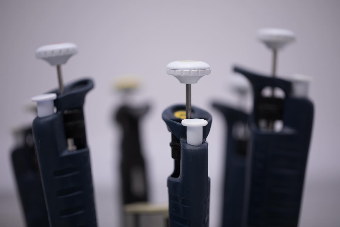 #science #electronmicroscope #laboratory #scienceart #sciencephoto #scientific #scienceweek #research #lab #micro #microscope #microscopy #medicine #medicalsciencestudent #medicalstudent #macrophotography #mineralomics #bio #biology #bioimaging #biologylab #minerals #chemistry #material #engineering #physics #sciencecommunication #ucl