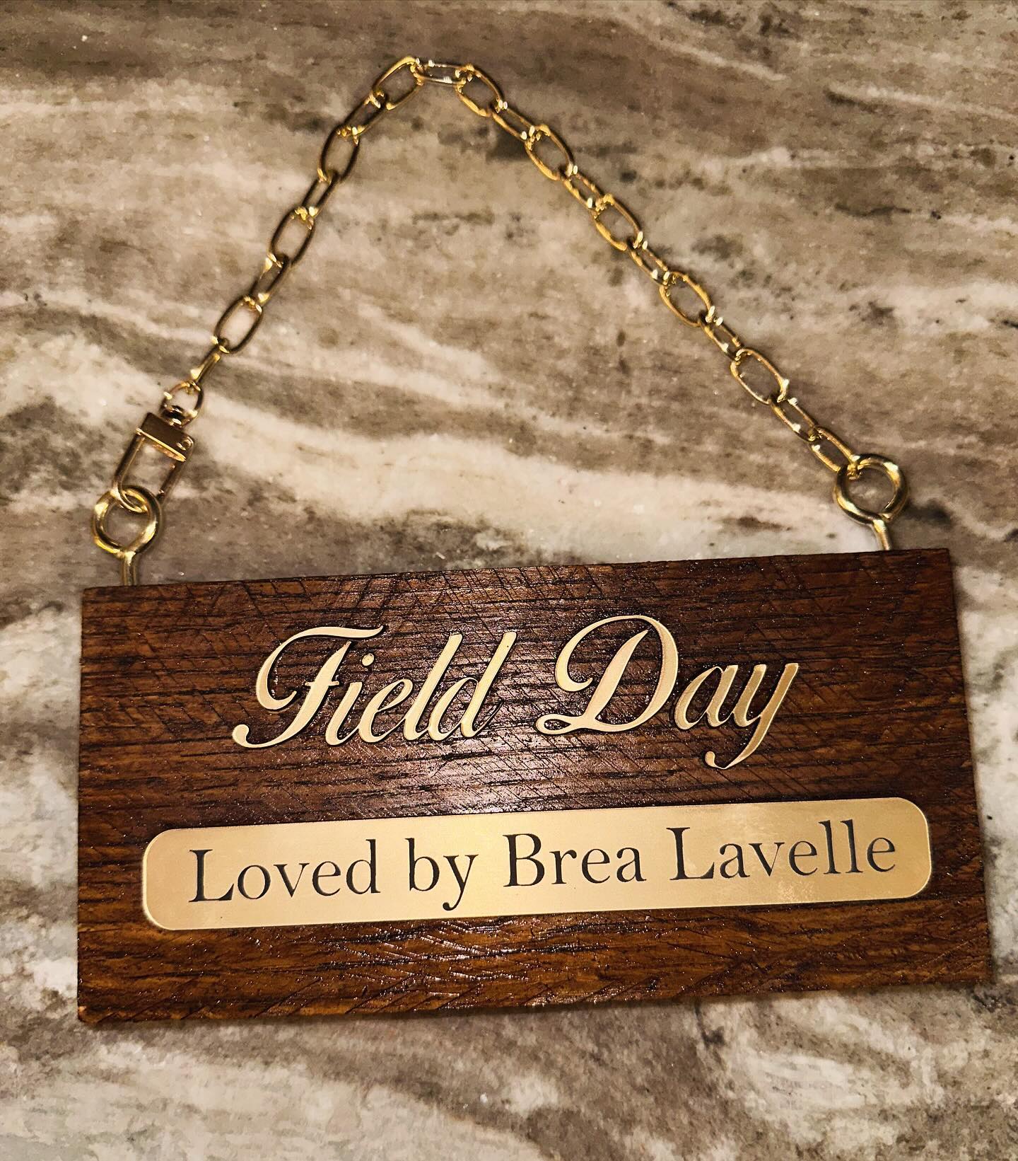 🏷️ Personalized horse name plates: because every horse deserves to stand out in style! ✨ Add a touch of elegance to your stable with custom-made name plates that reflect your horse’s unique personality. #EquestrianStyle #StableDecor #HorseLovers