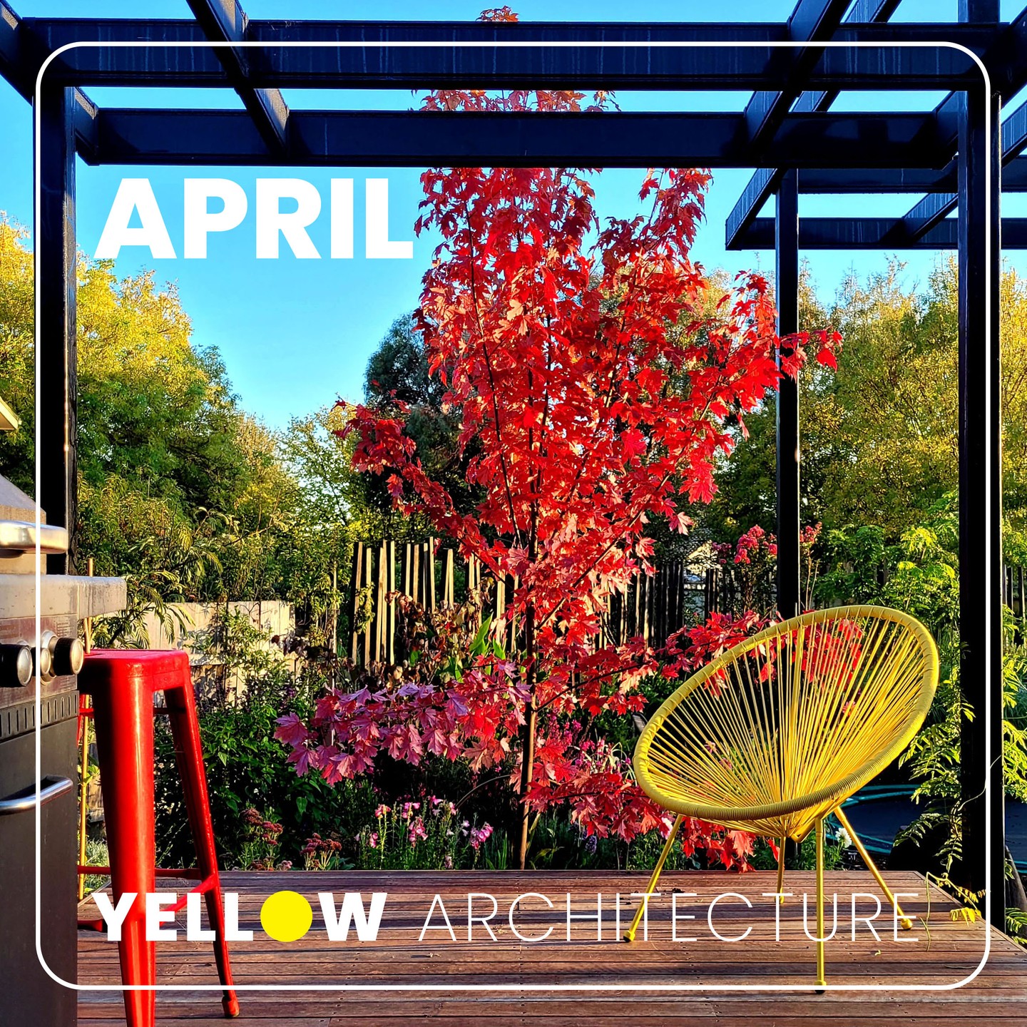 This outdoor kitchen is celebrating autumn! It provides an ‘in between space’ to create the flow and connection to the garden. Our Architectural intentions integrate seamlessly with the Landscape Elements, allowing a beautiful coupling of built and organic environments. The Acer freemanii (Jeffers Red) does all the work: creates the perfect organising focal point, provides shade through summer, allows solar penetration in winter, and visual delight in the shoulder seasons. The result is that the Architecture can be efficient, subtle and simple, whilst providing a delightfully connected and colourful experience.
#acerfreemanii
#plotdesigngroup
#autumncanberra
#yellowarchitecture.cbr