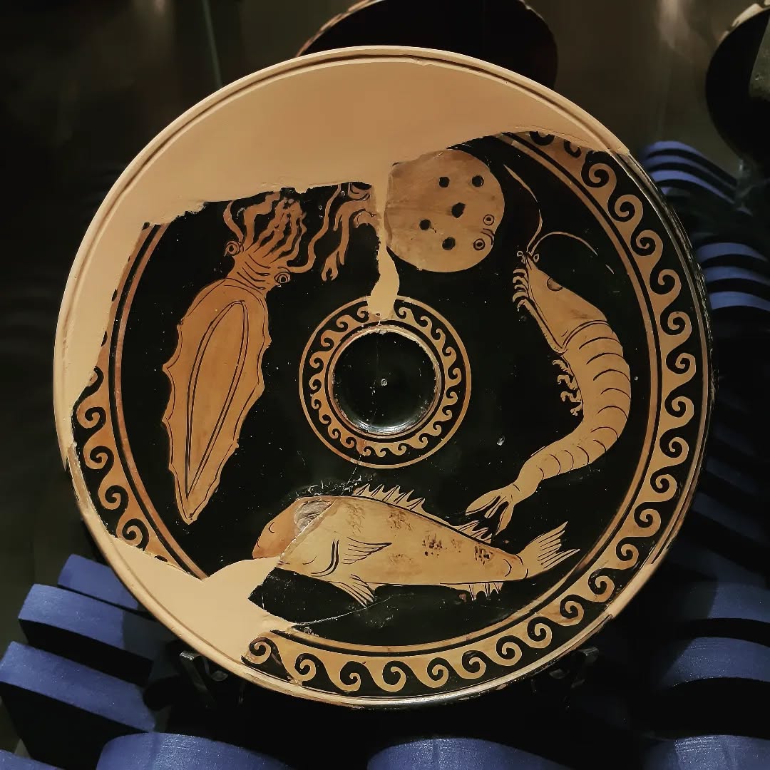 Ci sono una seppia, un gambero, una triglia e una torpedine in questo meraviglioso piatto da pesce di produzione apula "riemerso" dai depositi del MArTa.
Metร del IV secolo a.C., da Taranto.
#archeologia #greekceramics
#greekpottery #magnagrecia #Taranto #apulianpottery #Taras #Puglia #piattidapesce #fishpottery #megalehellas #archaeology #martaranto #volgotaranto #pugliatravel #turismoculturale #museumlovers #instapuglia